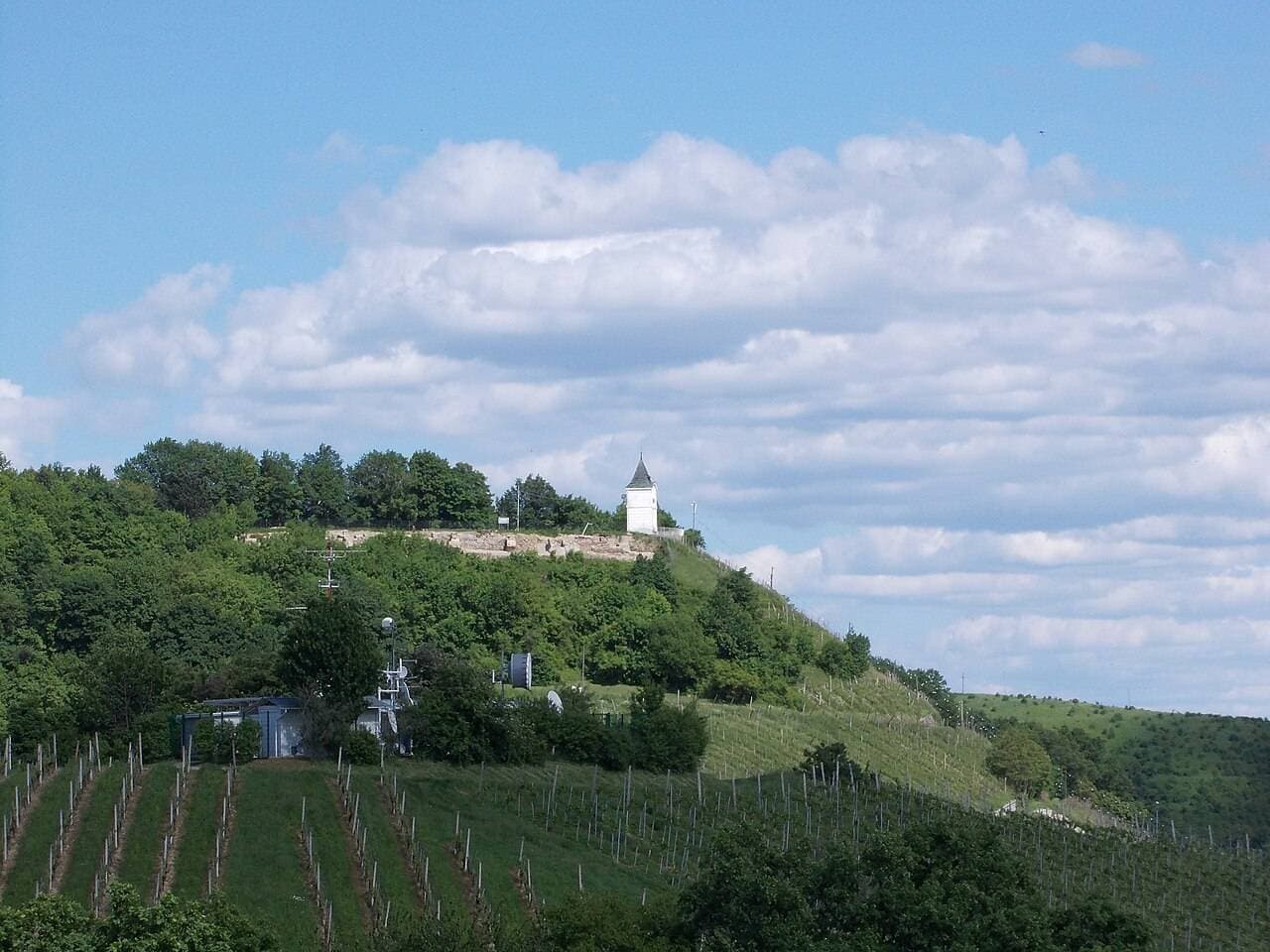 Vinska Vigred (Wine Spring) — Maribor, Slovenia