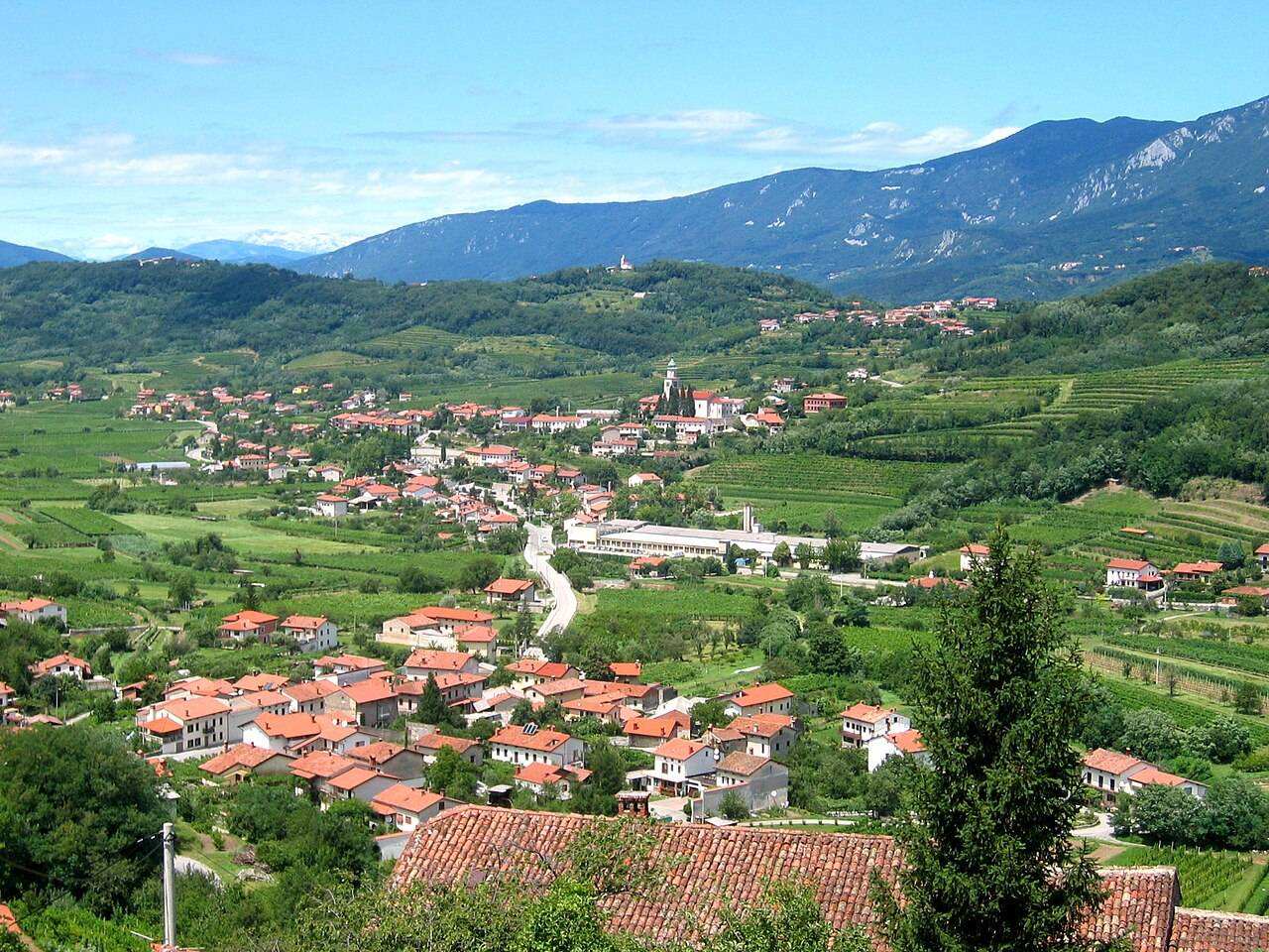 Vipava Valley Open Cellar Days (Odprte Kleti) — Vipava, Slovenia