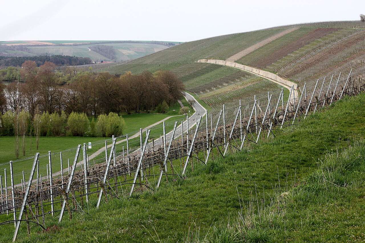 Volkach Wine Festival 2027 — Volkach, Germany