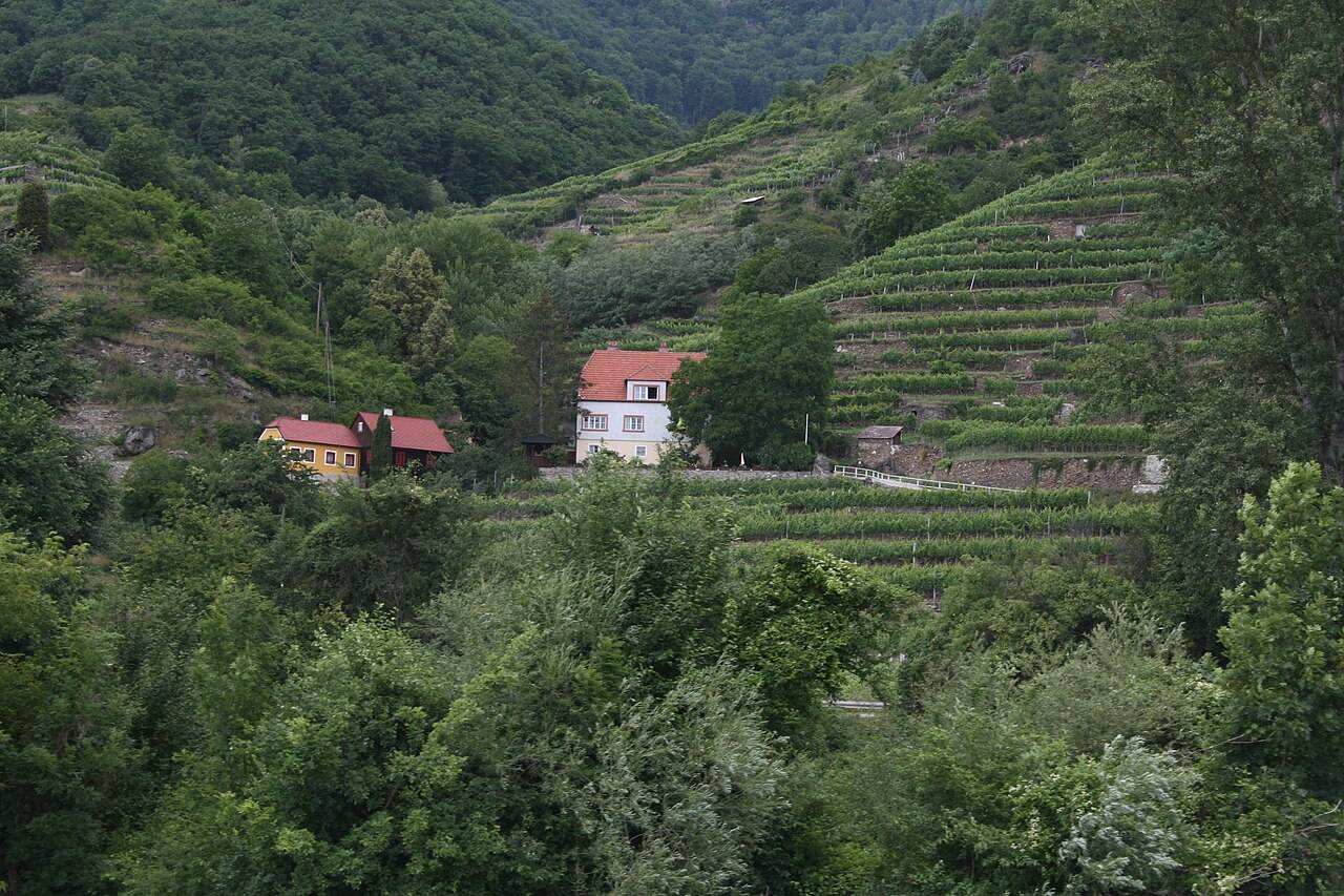 Wachau Wine Spring 2027 — Wachau, Austria