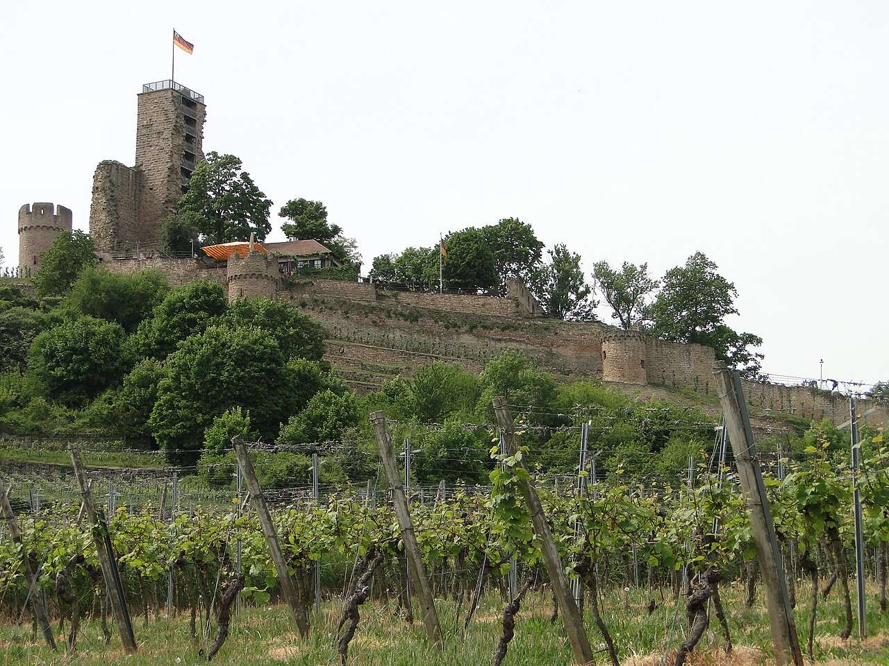 Wachenheimer Winzerfest 2027 — Wachenheim, Germany