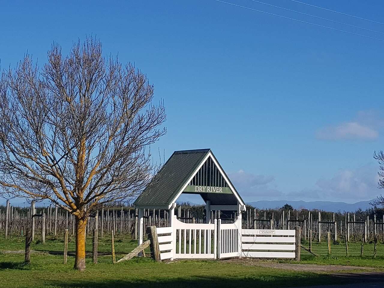 Wairarapa Wine & Food Harvest Festival — Martinborough, New Zealand