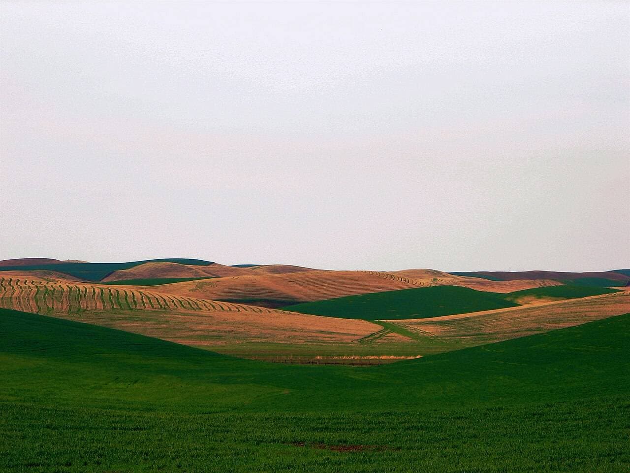 Walla Walla Spring Release Weekend — Walla Walla, United States