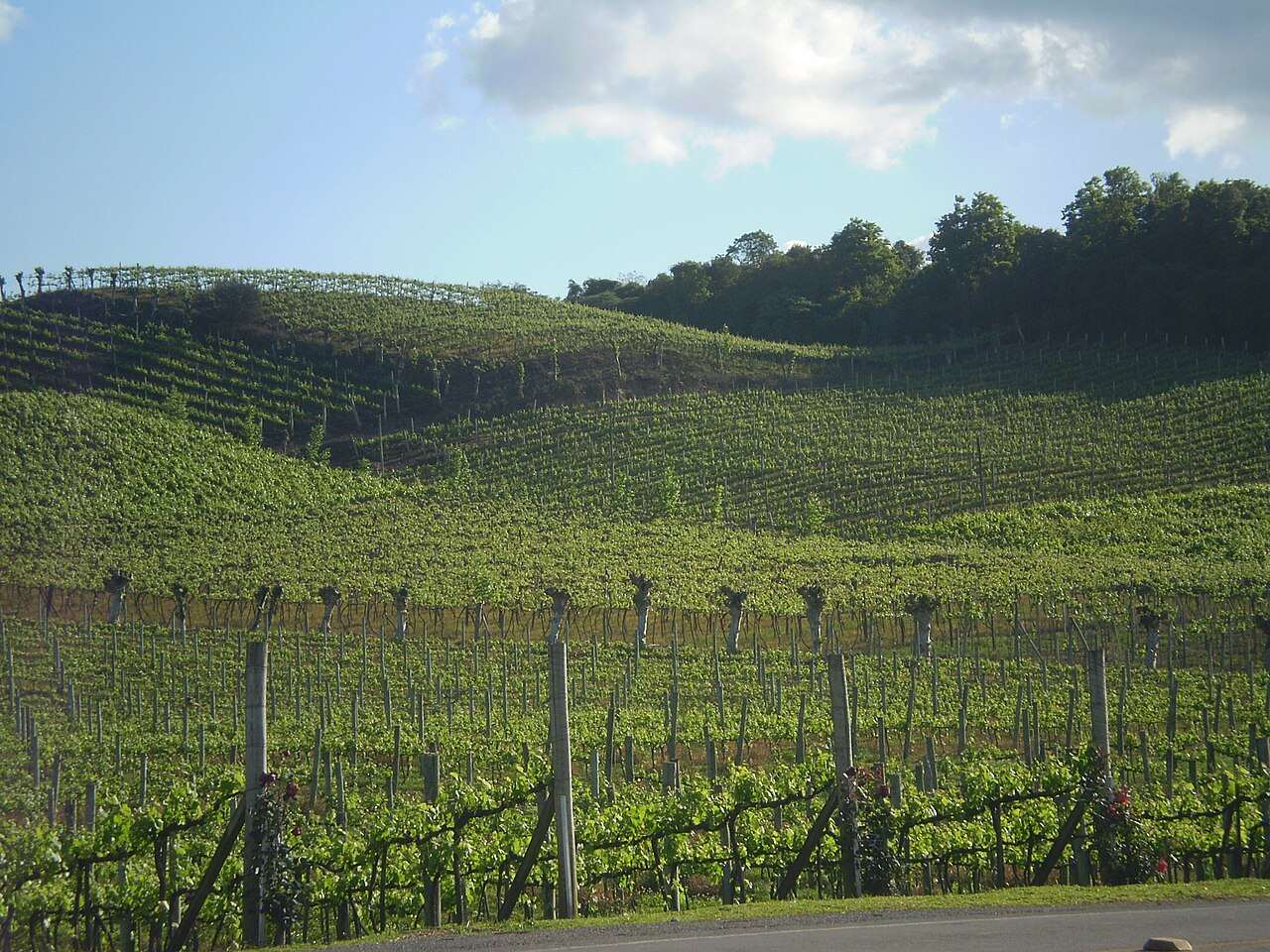 Wine South America — Bento Gonçalves, Brazil