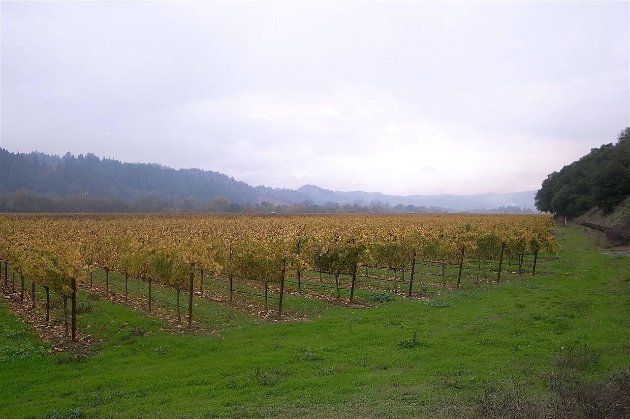 Winter WINEland — Healdsburg, United States