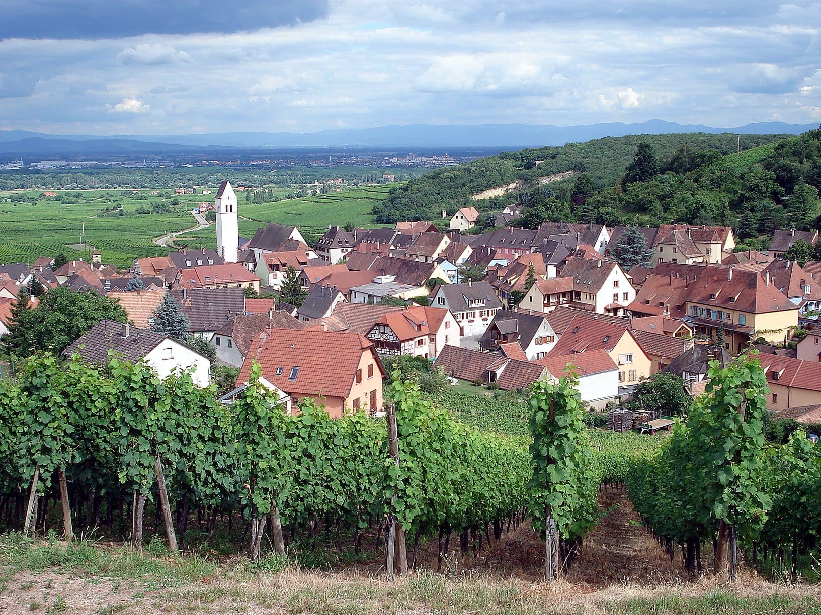 The village of Katzenthal nestled among Alsace vineyards below a wooded hill