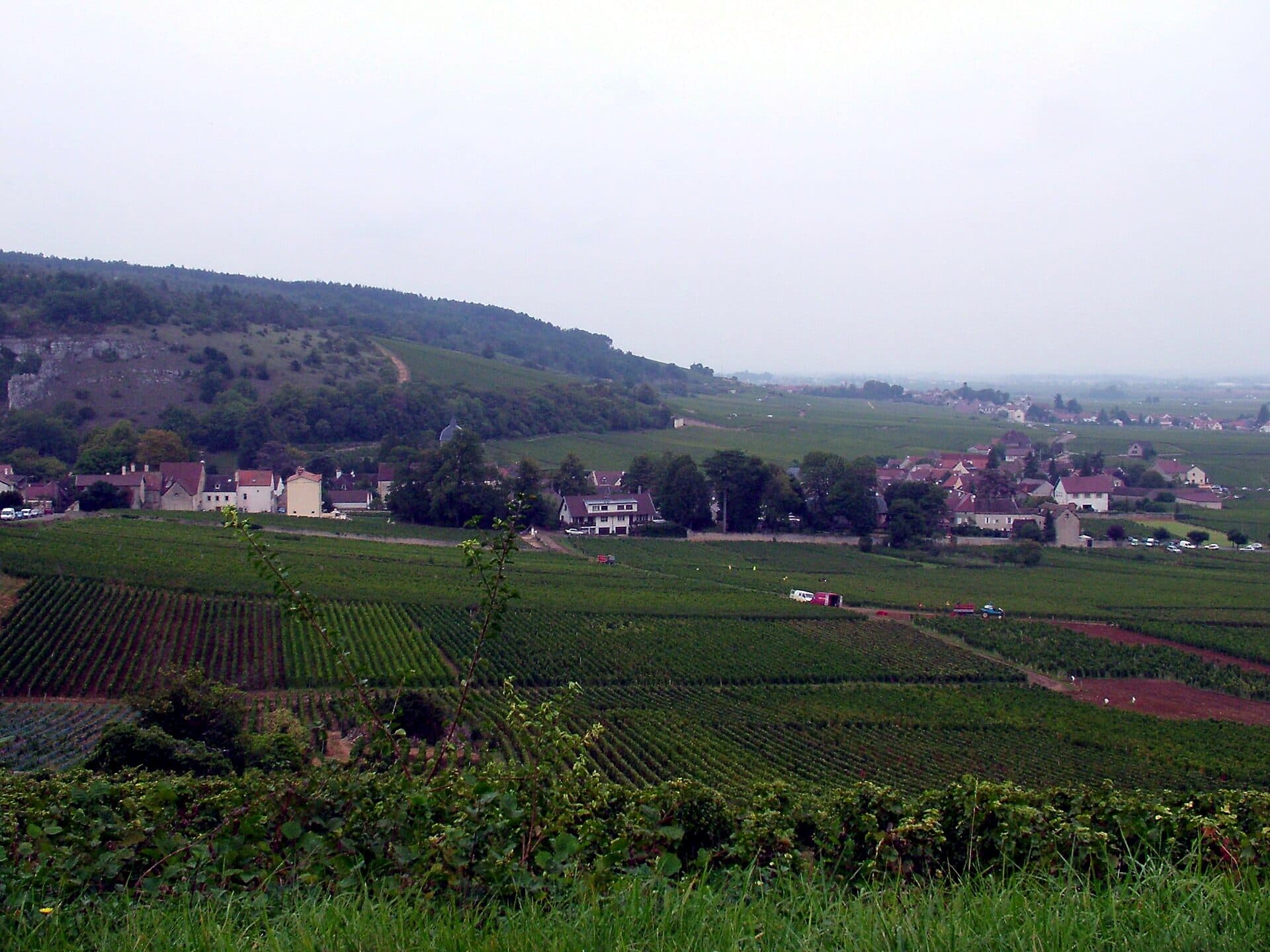 A Burgundy village set among gently rolling vineyards
