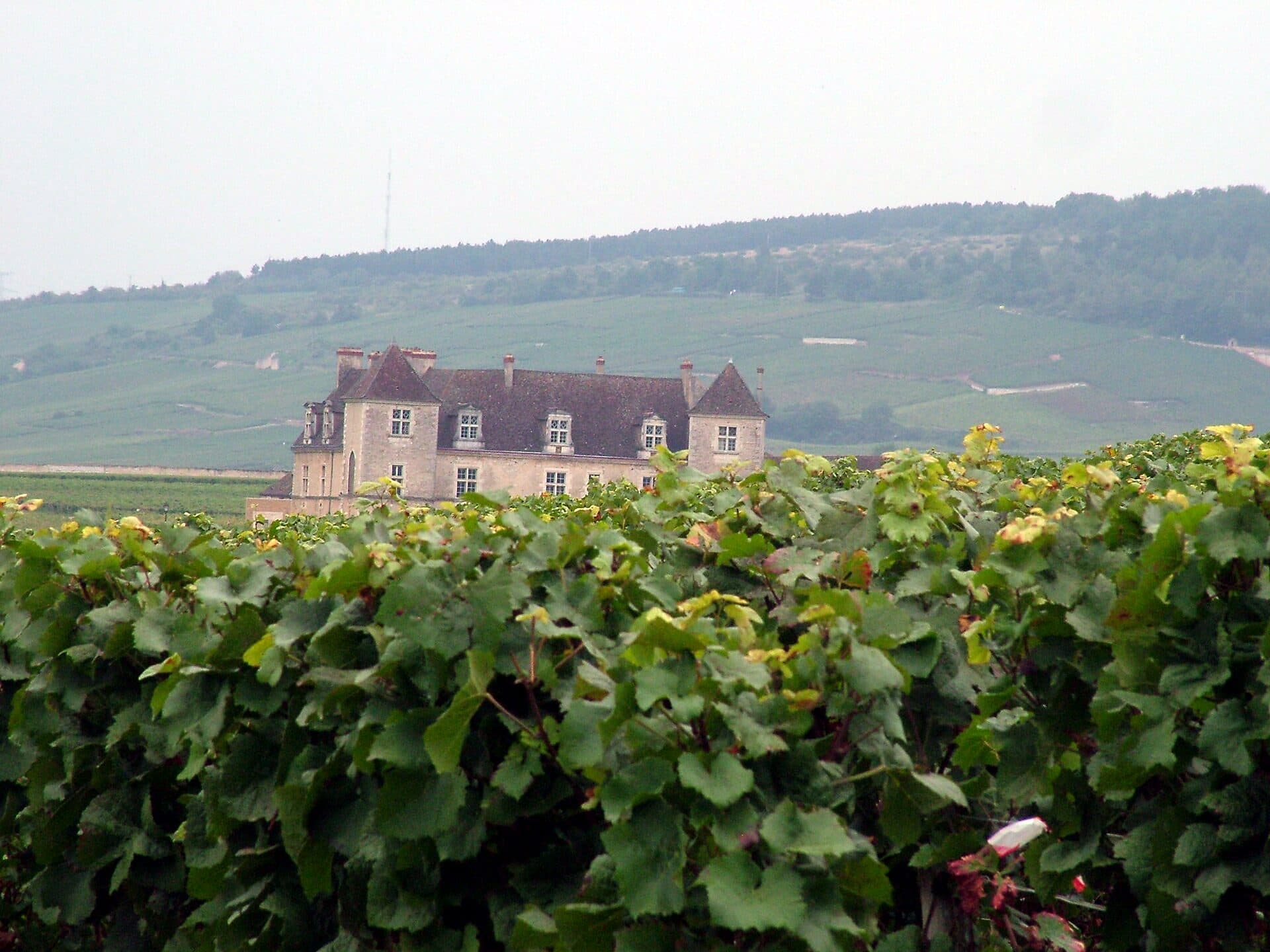 A stone wine estate surrounded by Burgundy vineyards under a clear sky