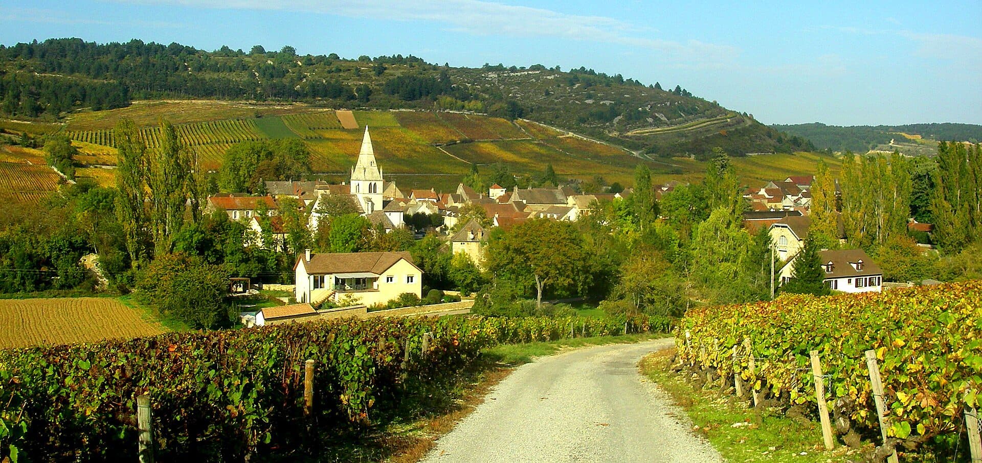 The village of Auxey-Duresses in its valley, framed by Burgundy vineyards turning autumn colours