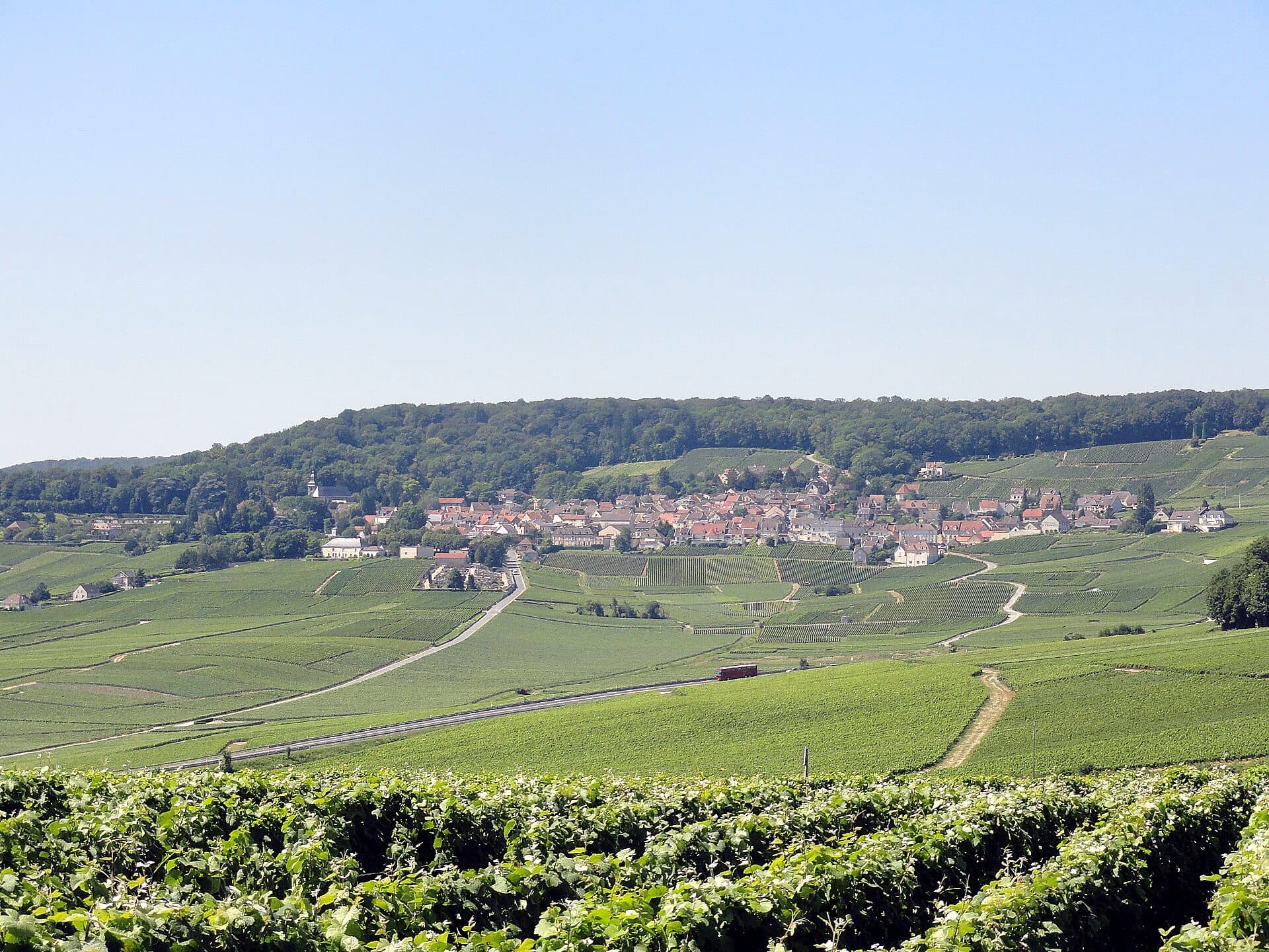 The village of Hautvillers above the Champagne vineyards