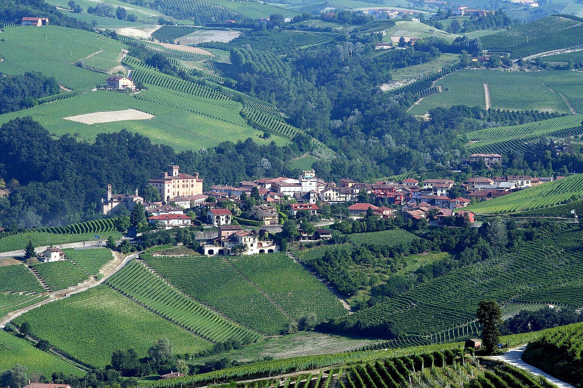 The hilltop town of Barolo seen across its vineyards from La Morra in Piedmont