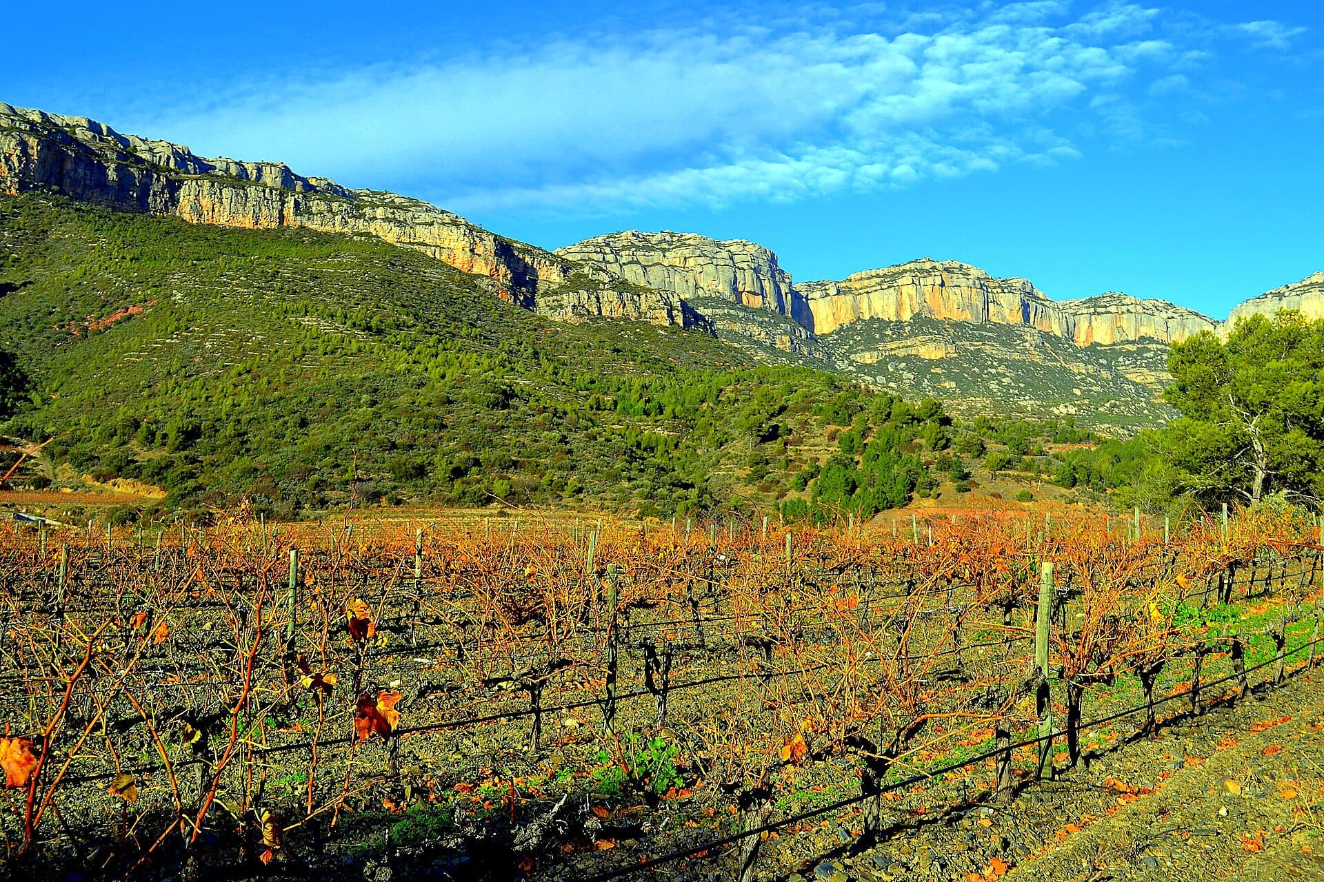 Priorat vineyards below the rocky Serra del Montsant massif, Catalonia