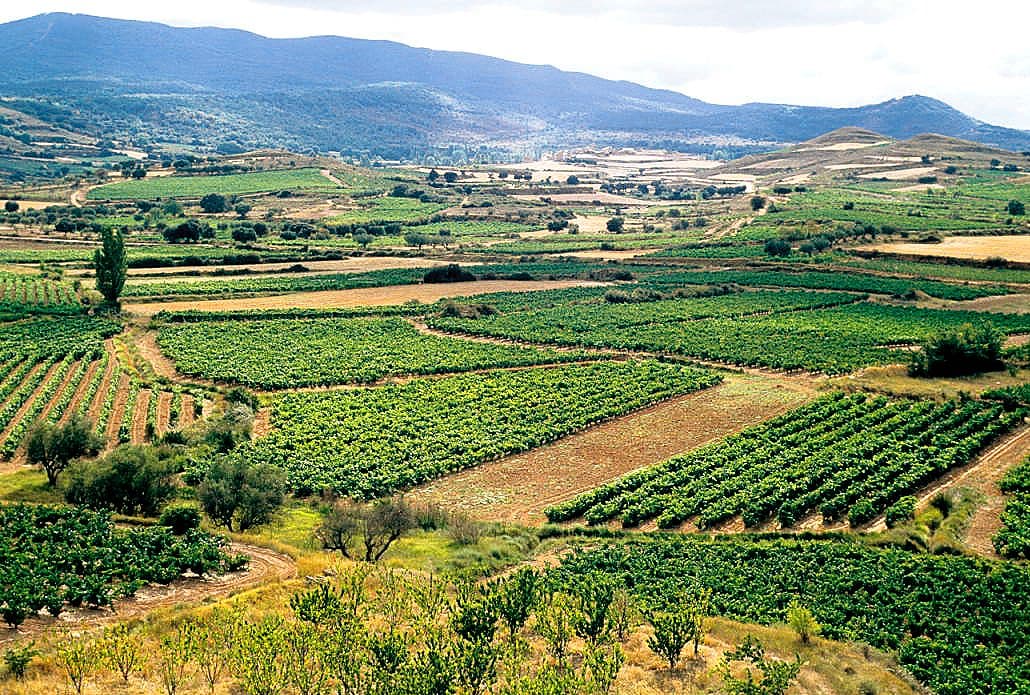 Rioja vineyards spread below a village with mountains behind