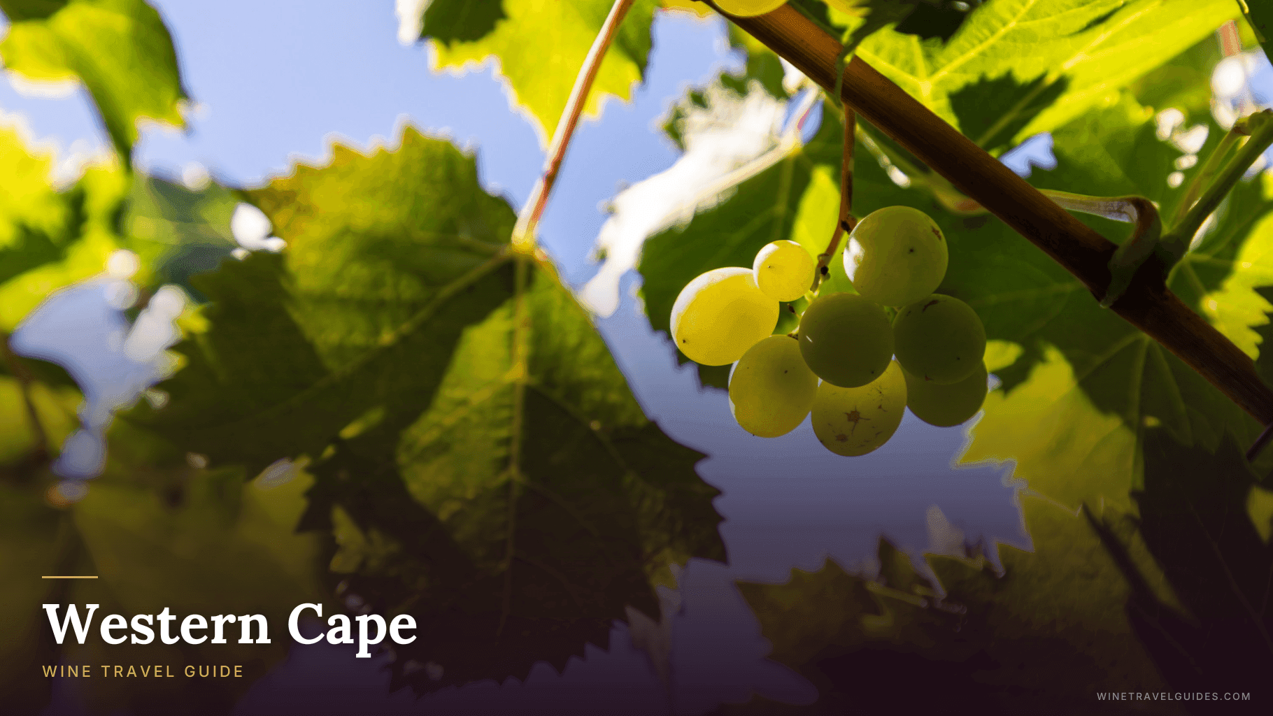 Western Cape (South Africa)