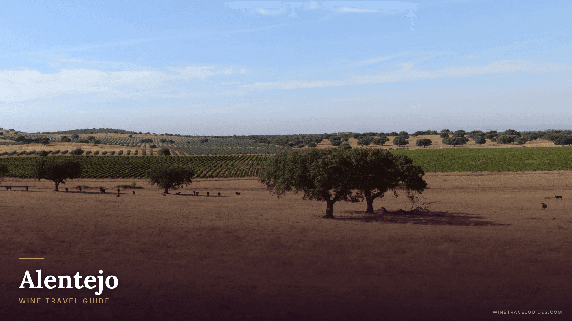 Alentejo (Portugal)
