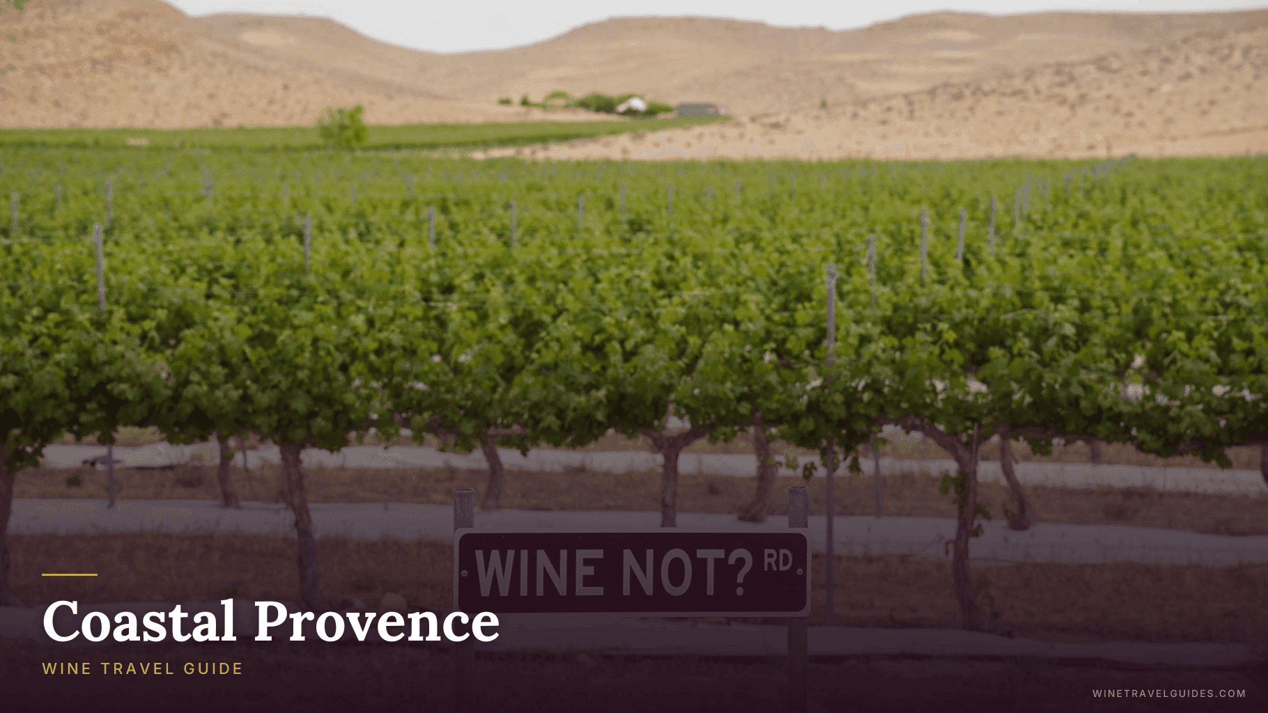 Coastal Provence Wine Travel Guide (Provence, France)
