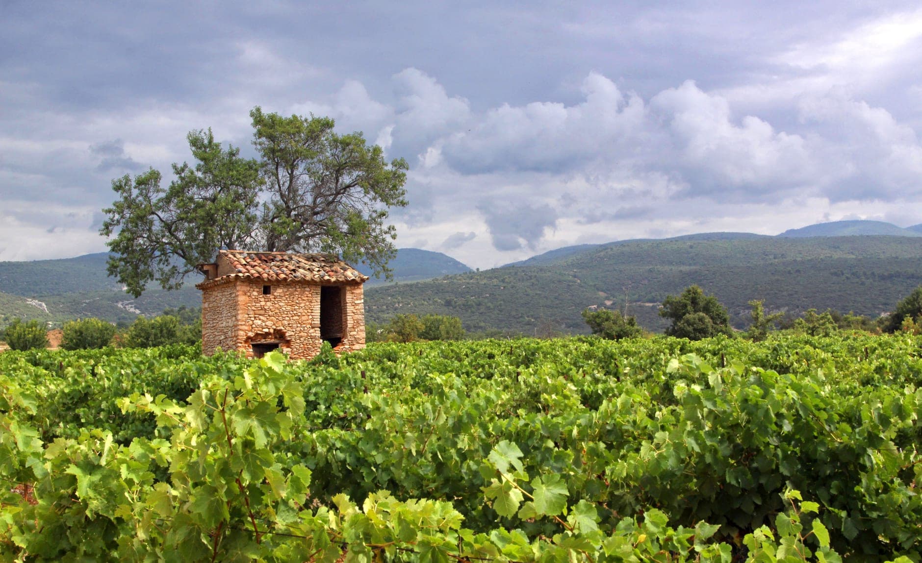 Rhone-Valley (France)