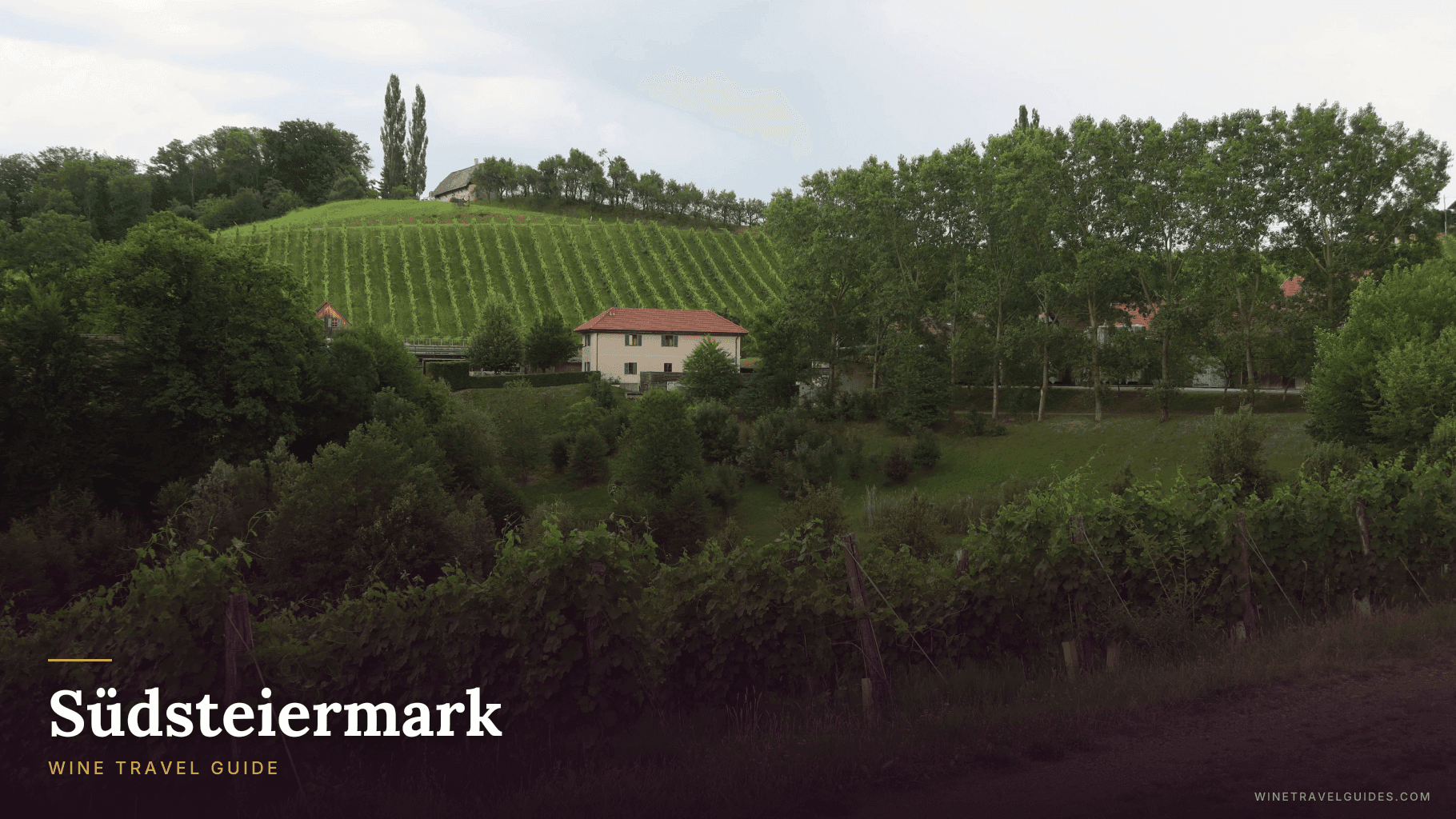 Südsteiermark Wine Travel Guide (Steiermark, Austria)