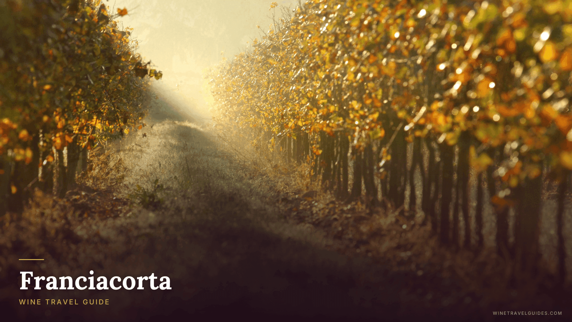 Franciacorta Wine Travel Guide (Lombardy, Italy)