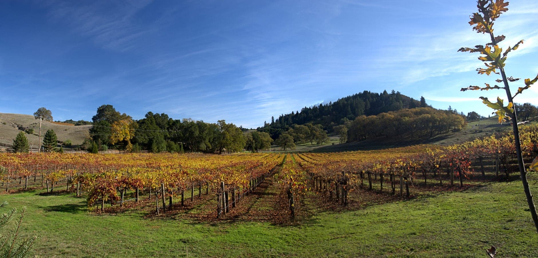 Mendocino County Wine Travel Guide (California, United States)