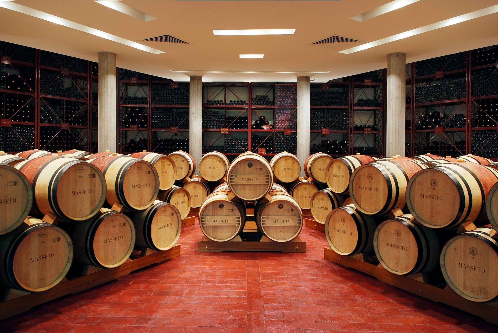 Bolgheri Wine Travel Guide (Tuscany, Italy)