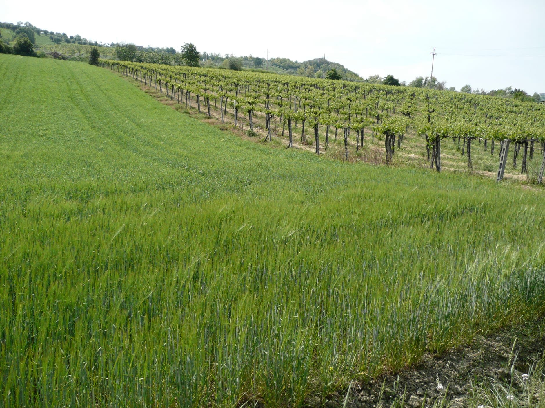 Abruzzo