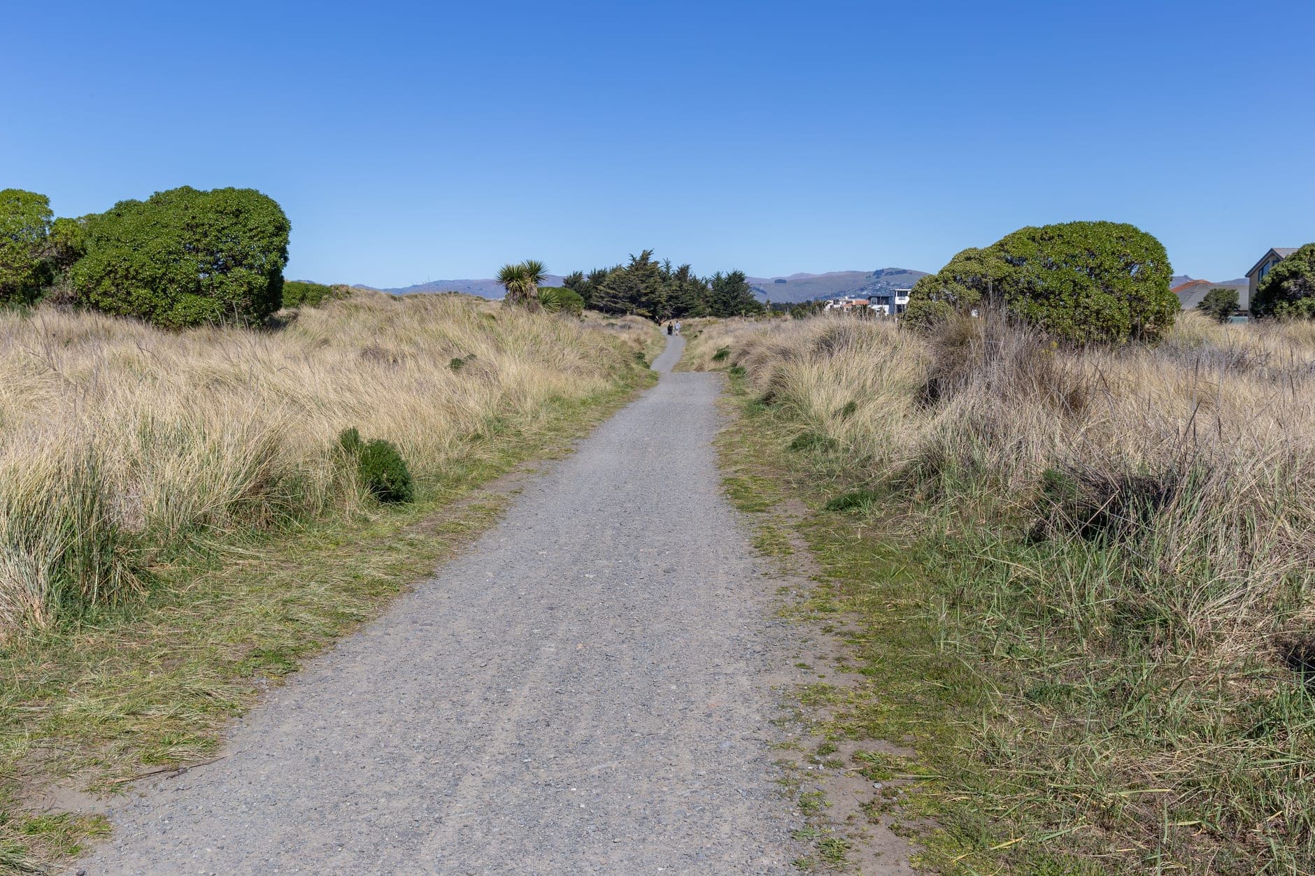 Canterbury Wine Travel Guide (South Island, New Zealand)