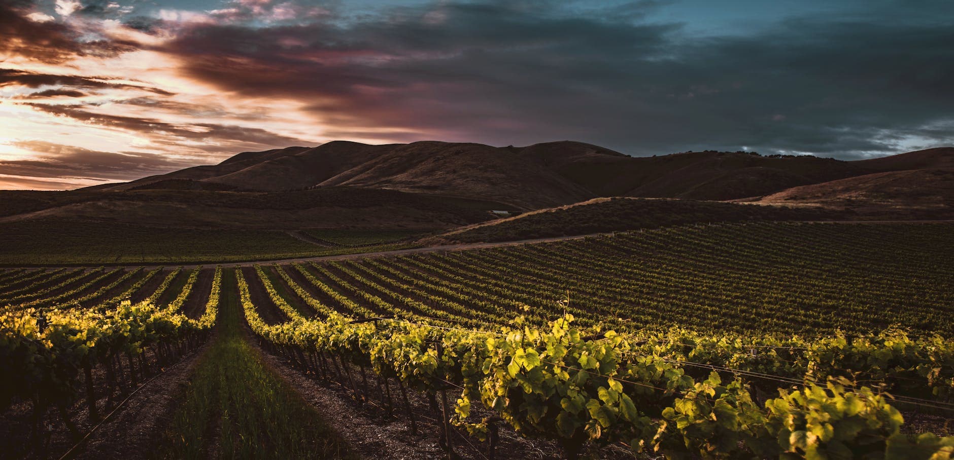 Where to Stay in Santa Barbara Wine Country