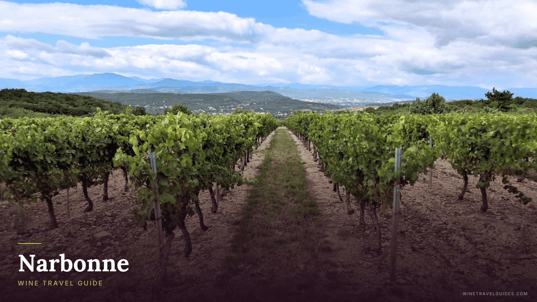 Narbonne Wine Travel Guide (Languedoc-Roussillon, France)