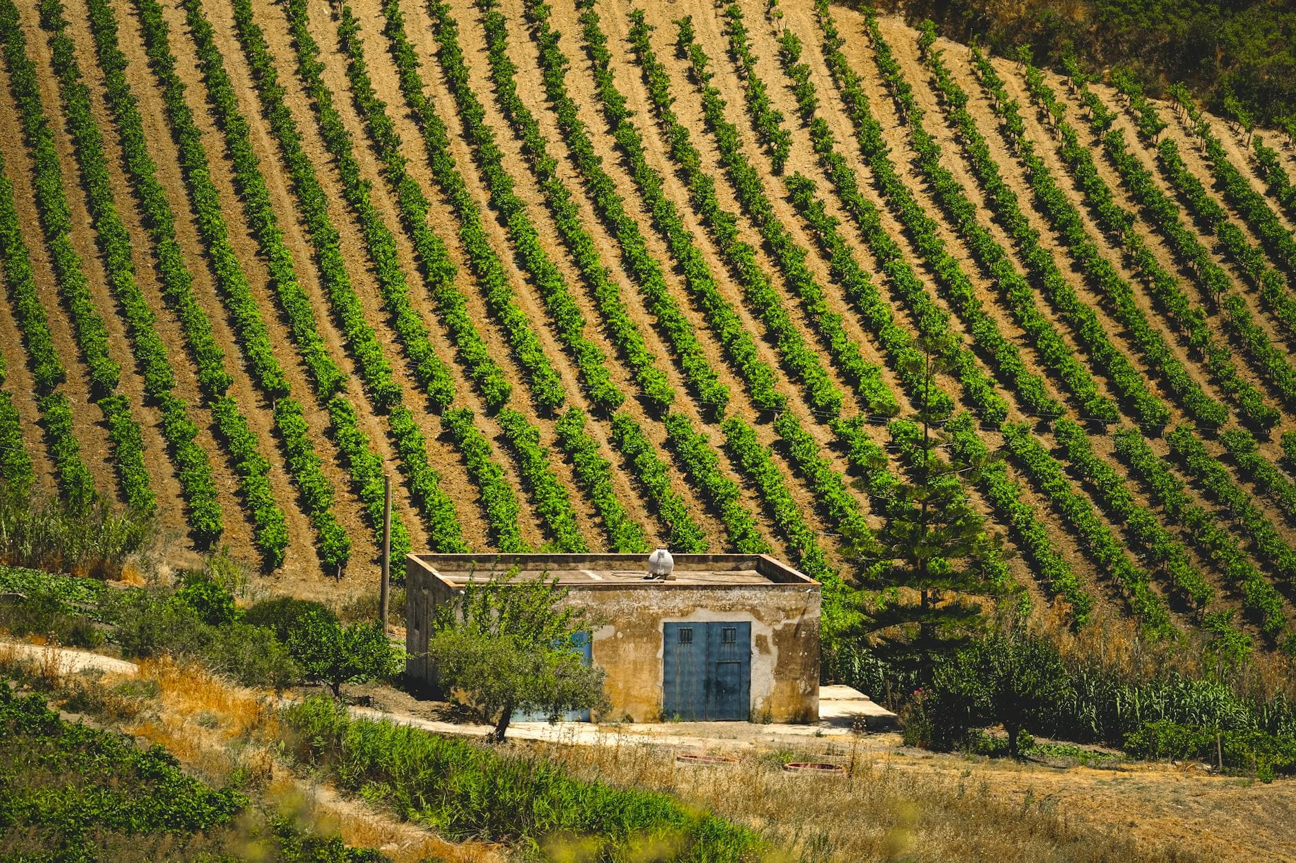 Where to Stay in Rías Baixas Wine Country: Complete 2026 Guide