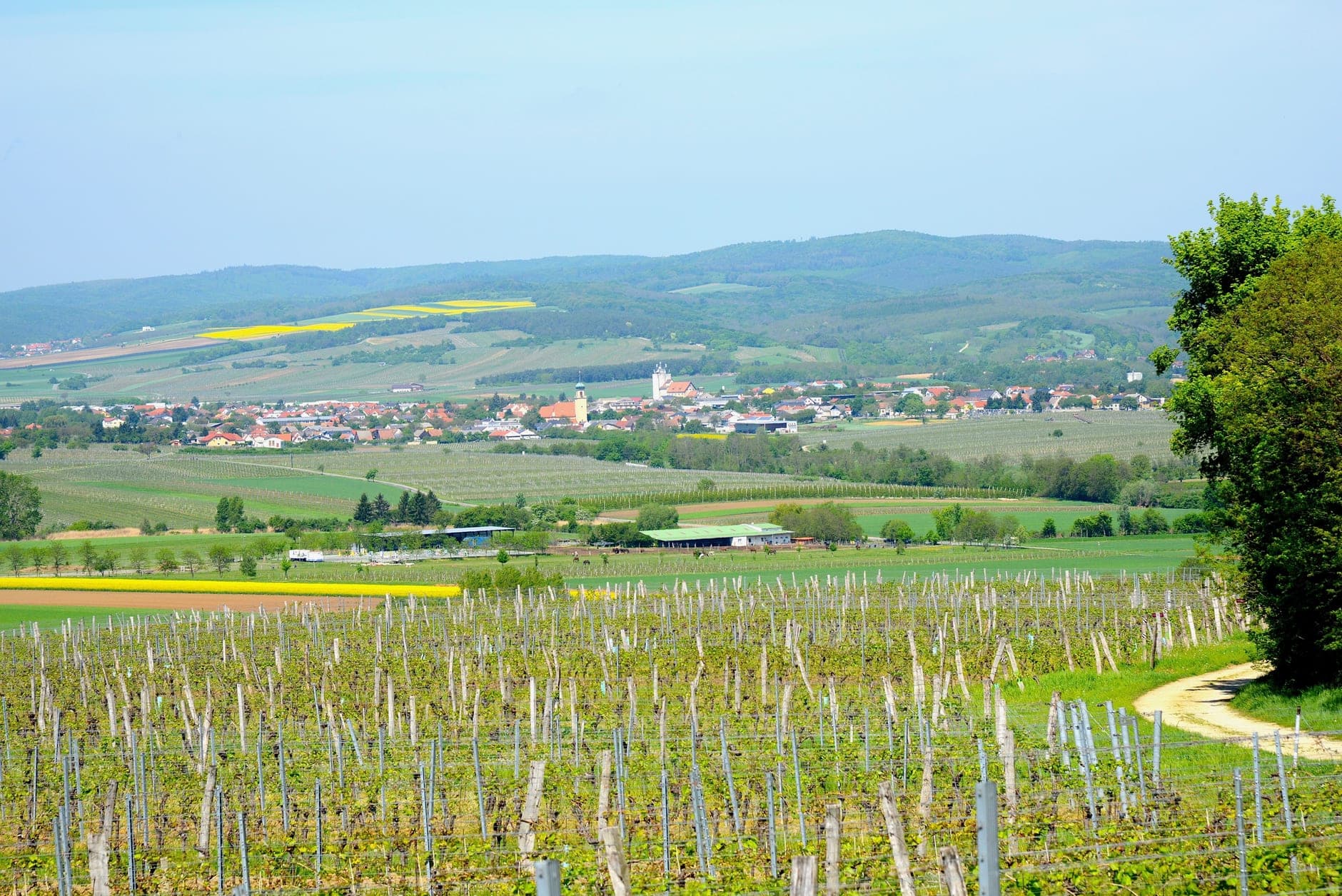 Sopron (Hungary)