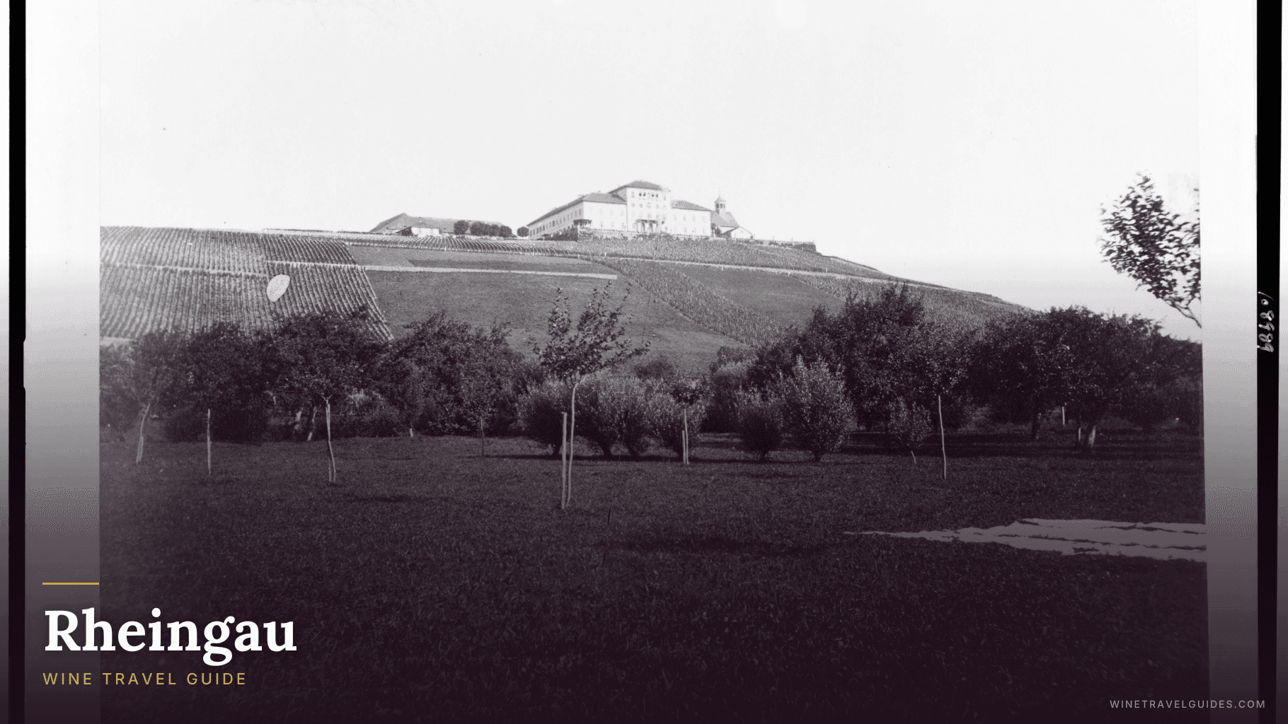 Rheingau (Germany)