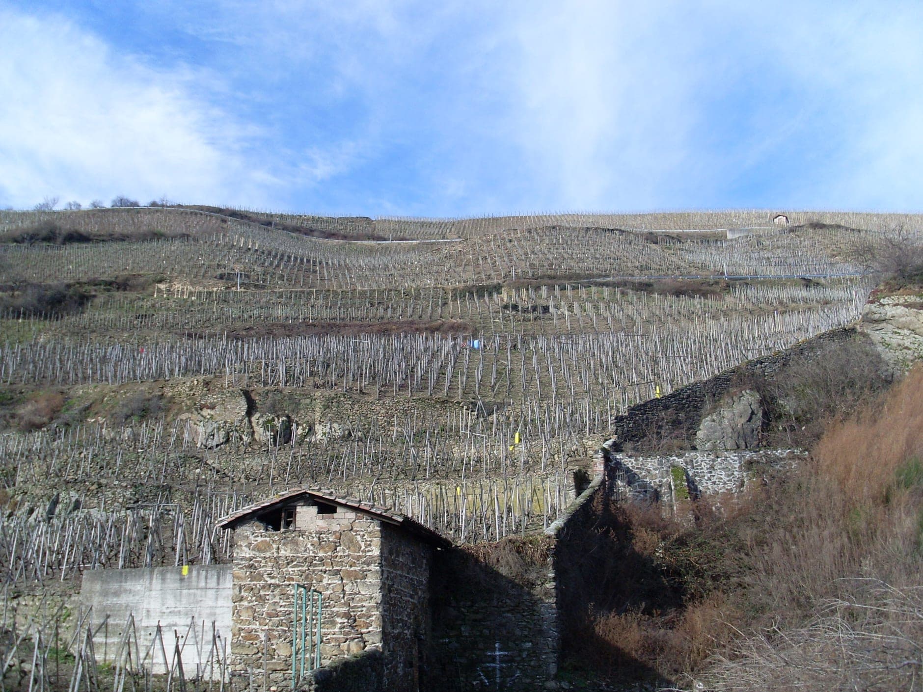 Northern Rhône Wine Travel Guide (Rhône Valley, France)