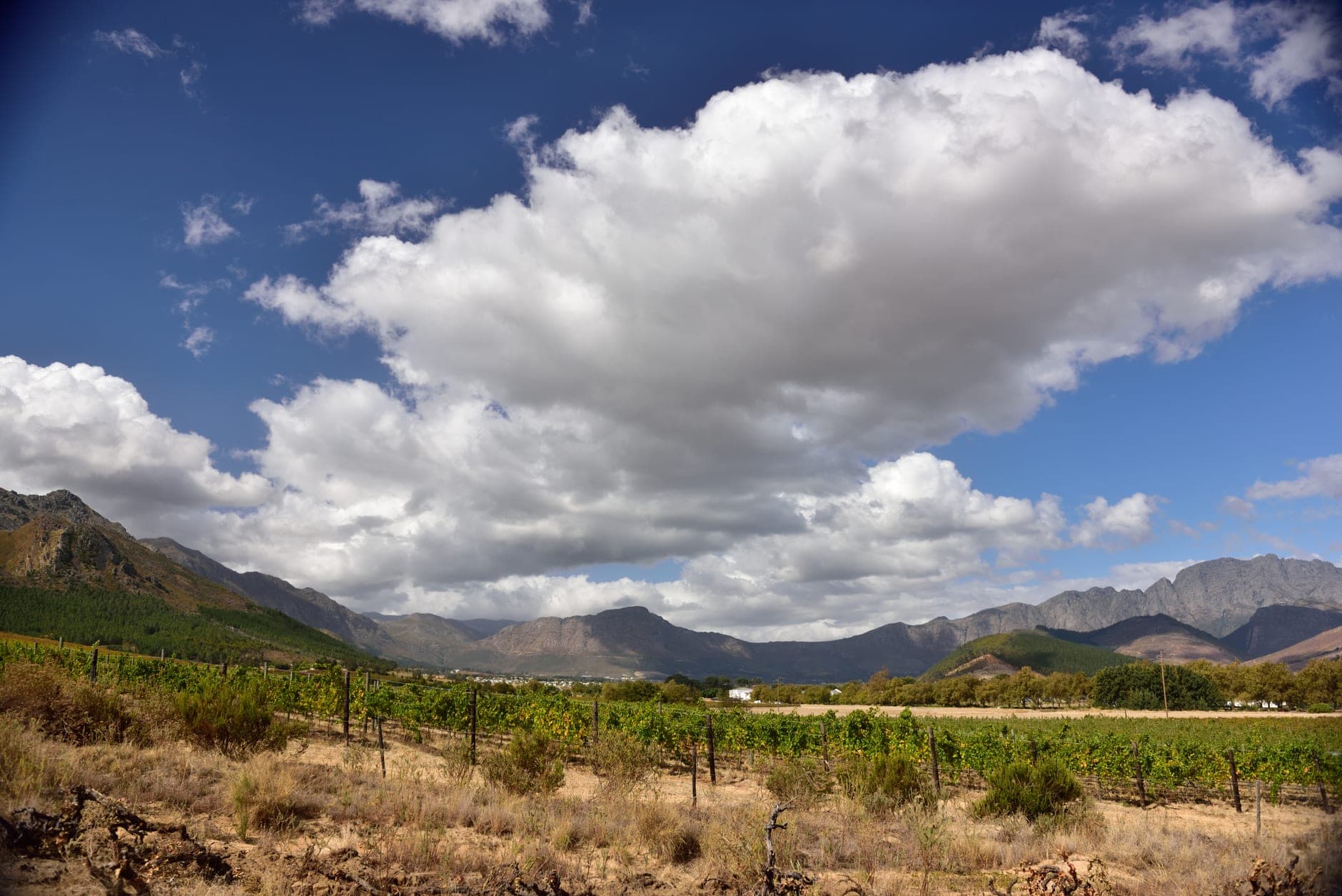 Franschhoek Wine Travel Guide (Western Cape, South Africa)