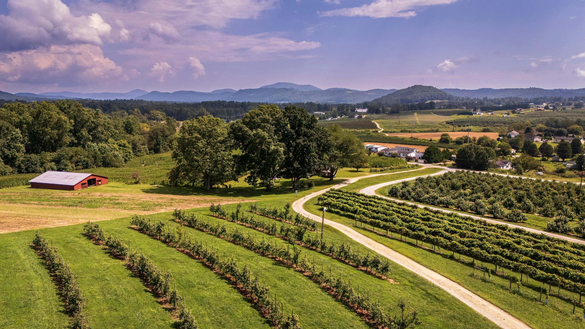 Where to Stay in Virginia Wine Country: Best Hotels, B&Bs & Vineyard Stays