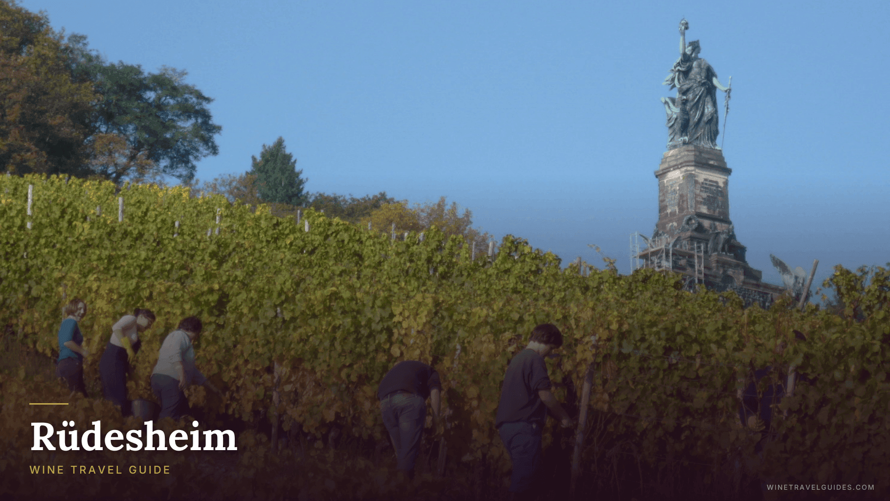 Rüdesheim Wine Travel Guide (Rheingau, Germany)