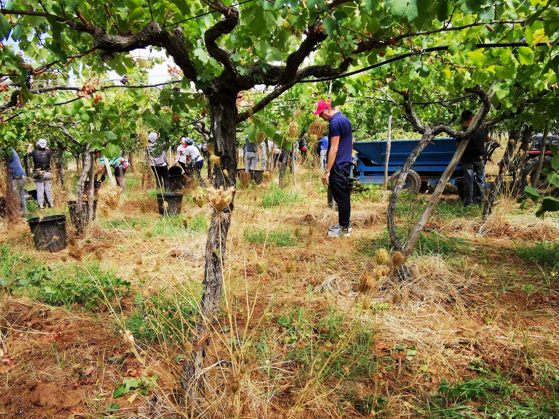 Puglia