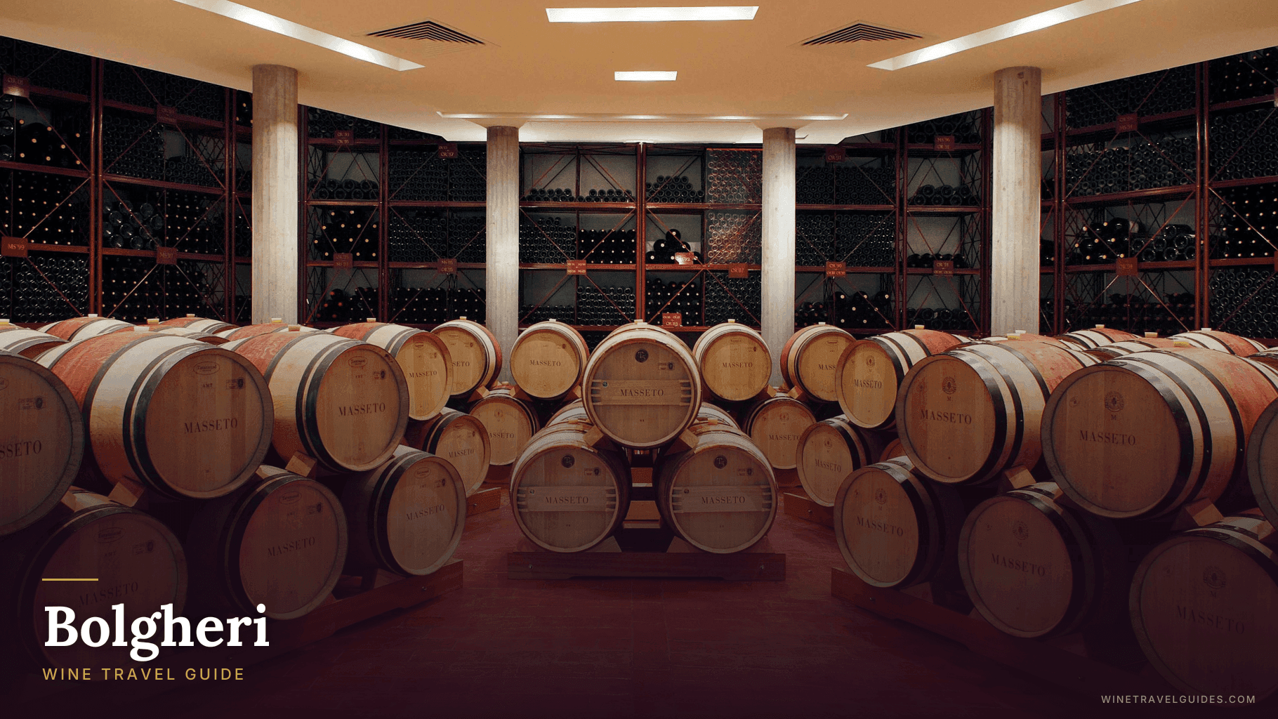 Bolgheri Wine Travel Guide (Tuscany, Italy)