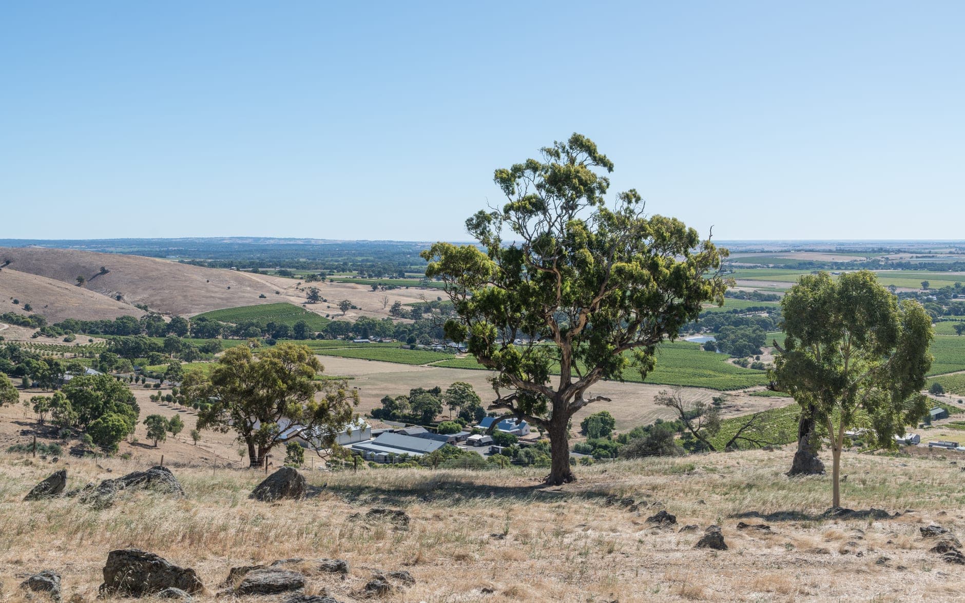 South Australia (Australia)