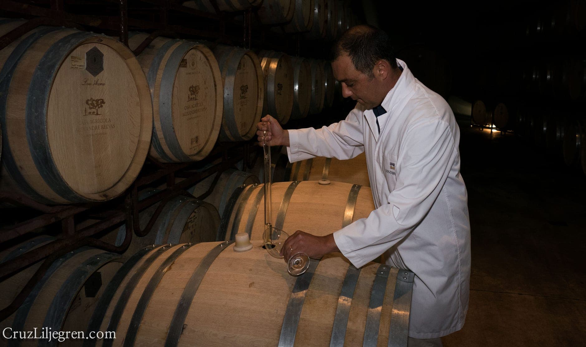 Évora Wine Travel Guide (Alentejo, Portugal)