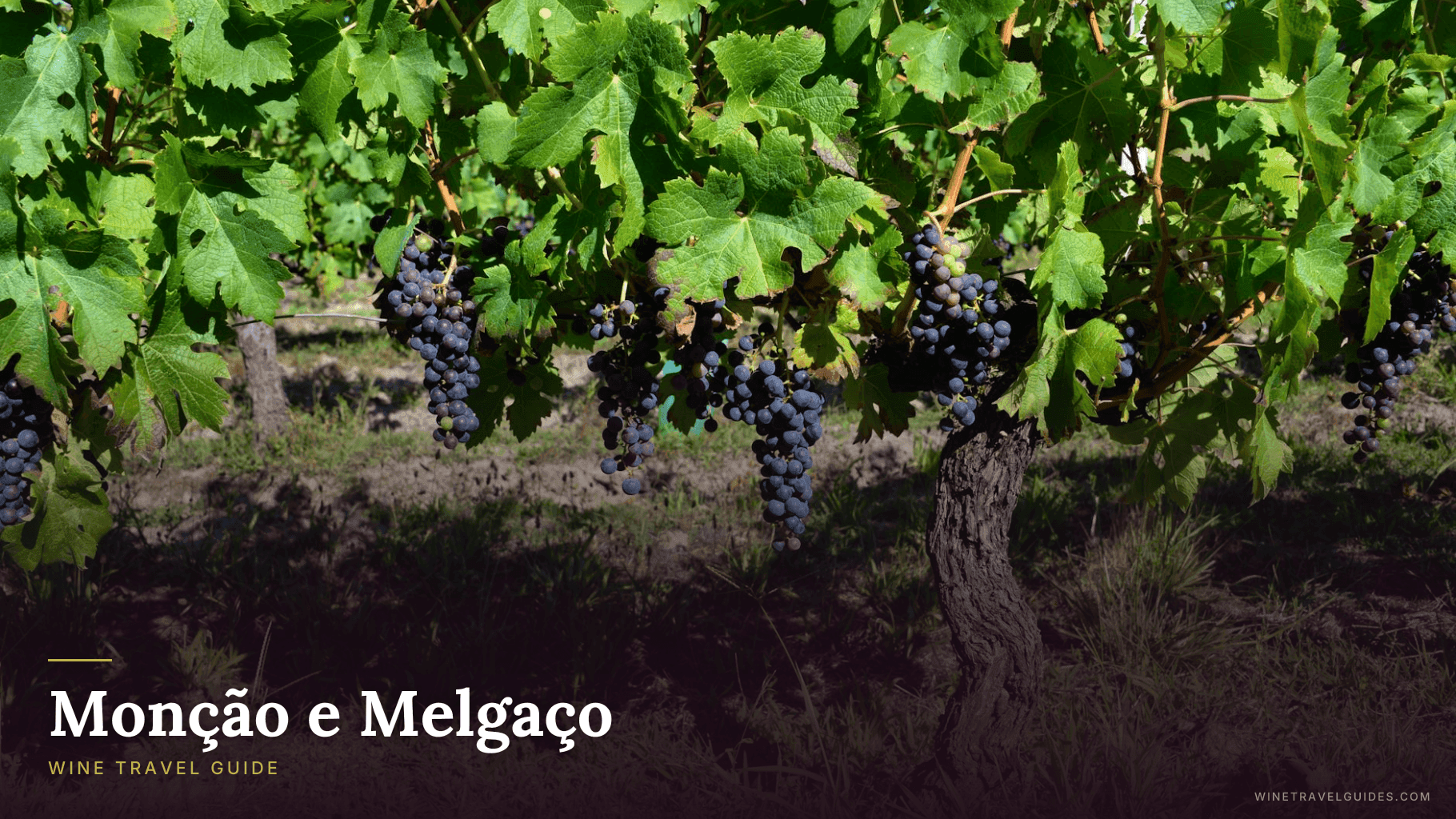 Monção e Melgaço Wine Travel Guide (Vinho Verde, Portugal)