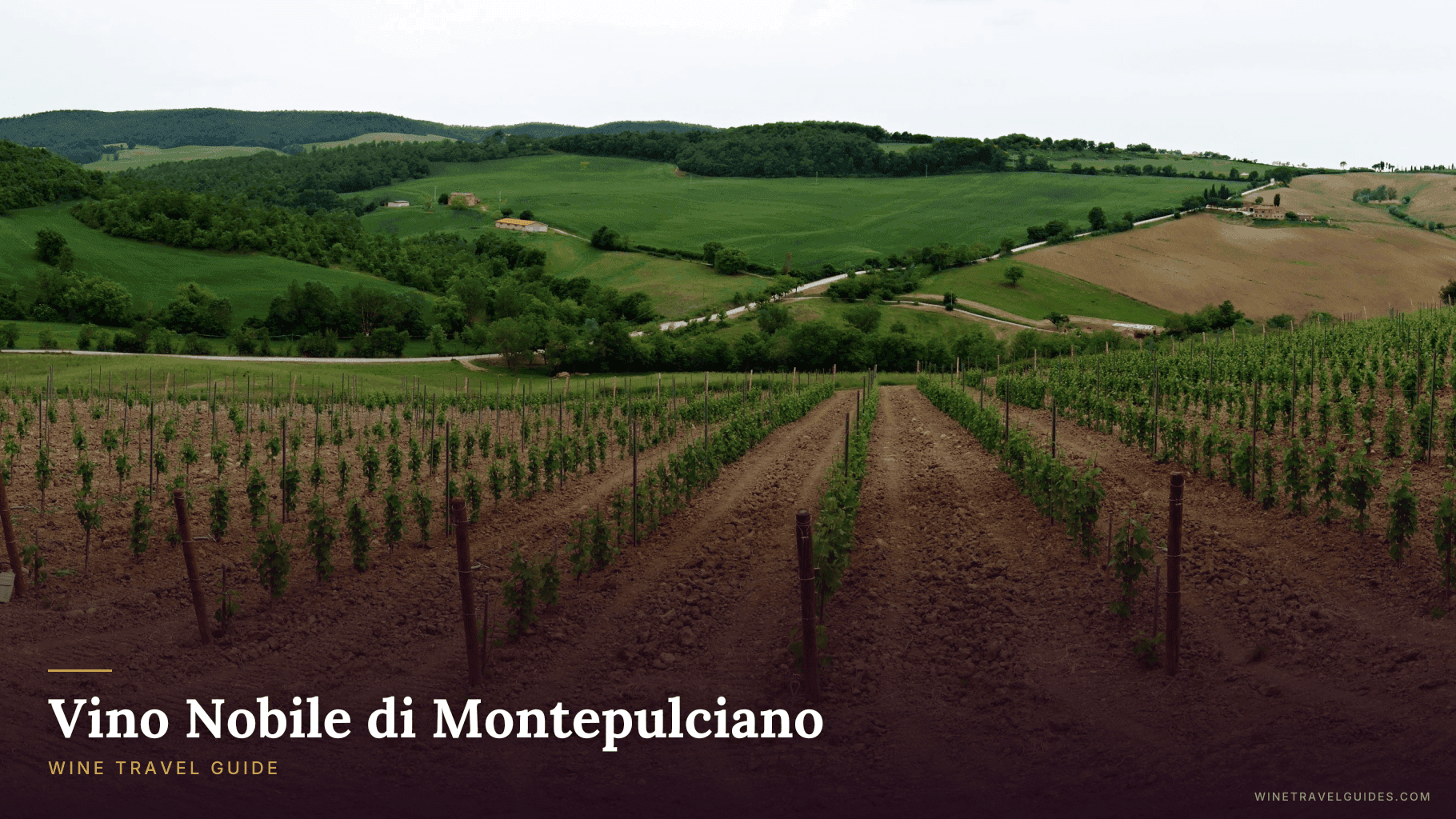 Vino Nobile di Montepulciano Wine Travel Guide (Tuscany, Italy)