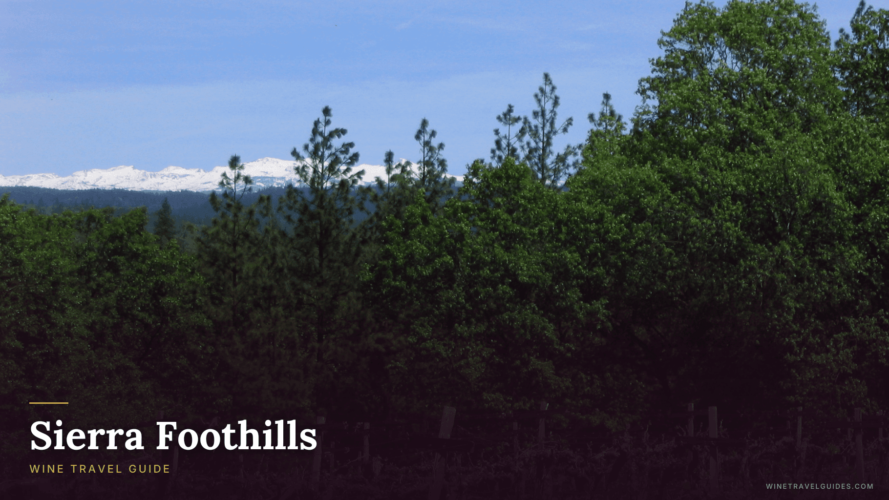 Sierra Foothills Wine Travel Guide (California, United States)