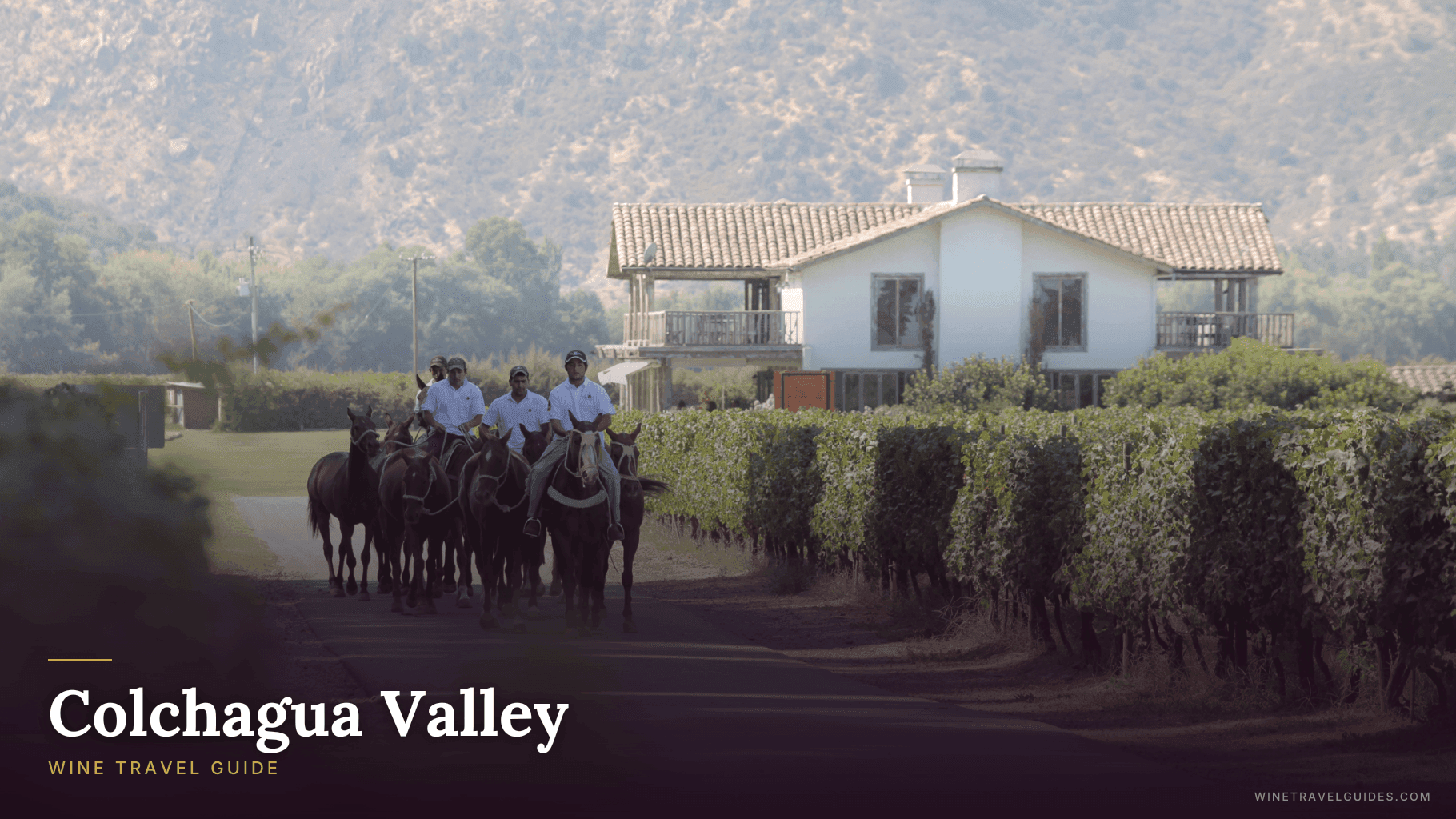 Colchagua Valley Wine Travel Guide (Central Valley, Chile)