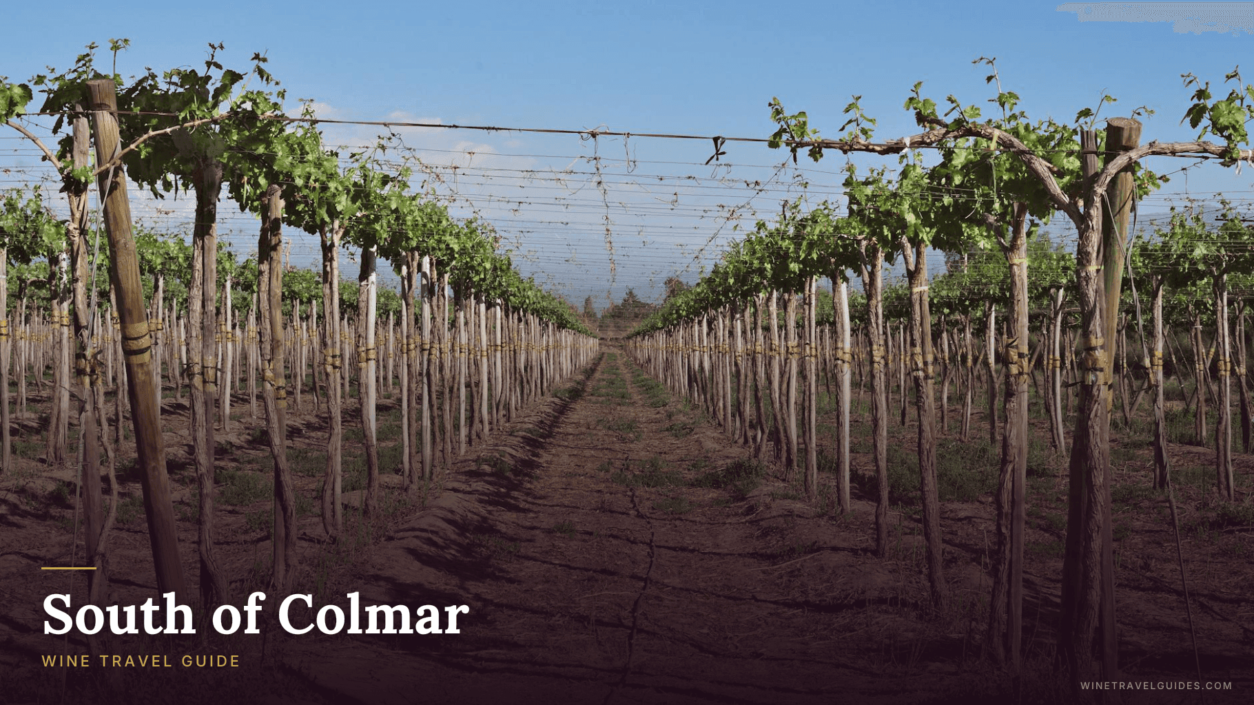 South of Colmar Wine Travel Guide (Alsace, France)