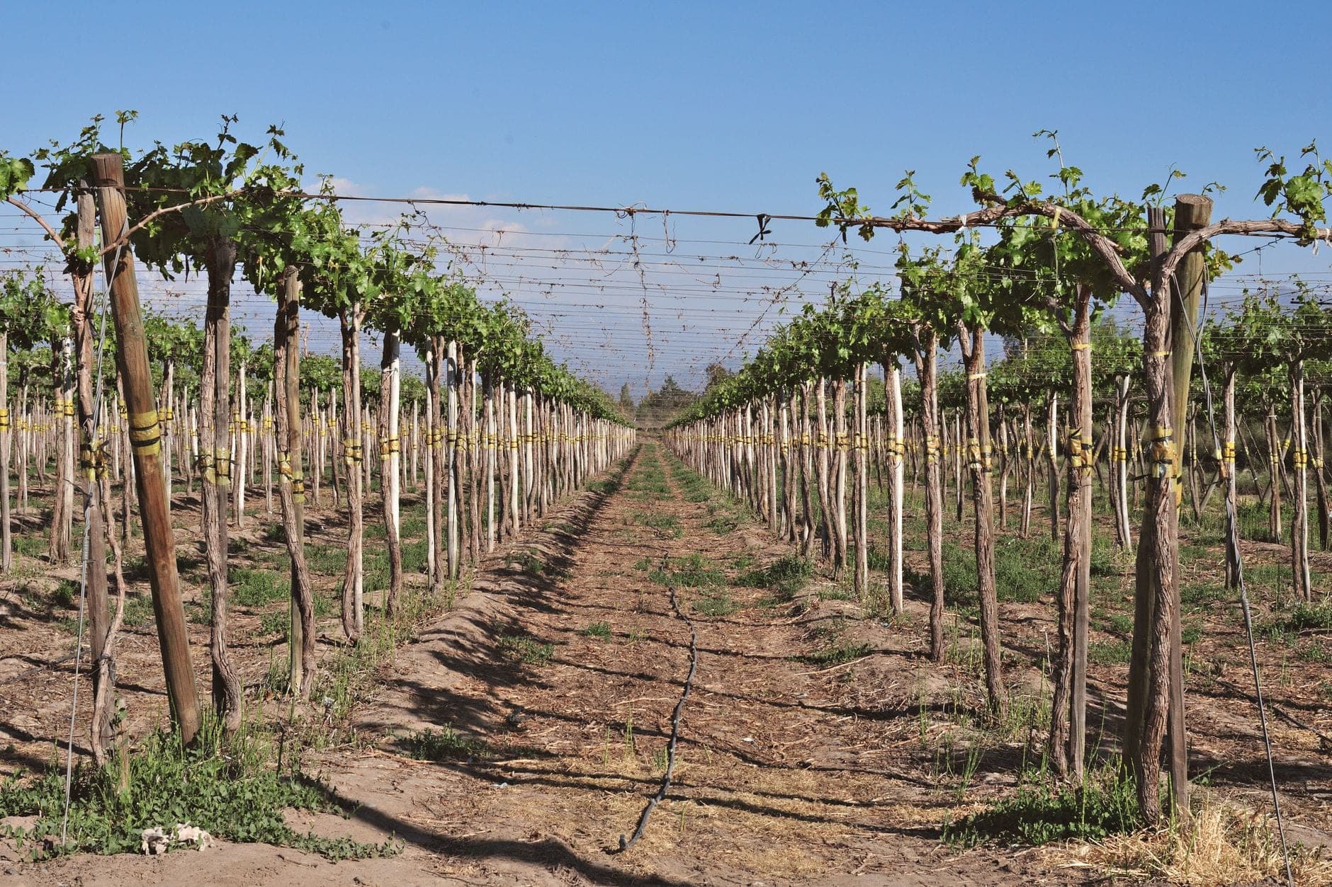 Annapolis Valley Wine Travel Guide (Nova Scotia, Canada)