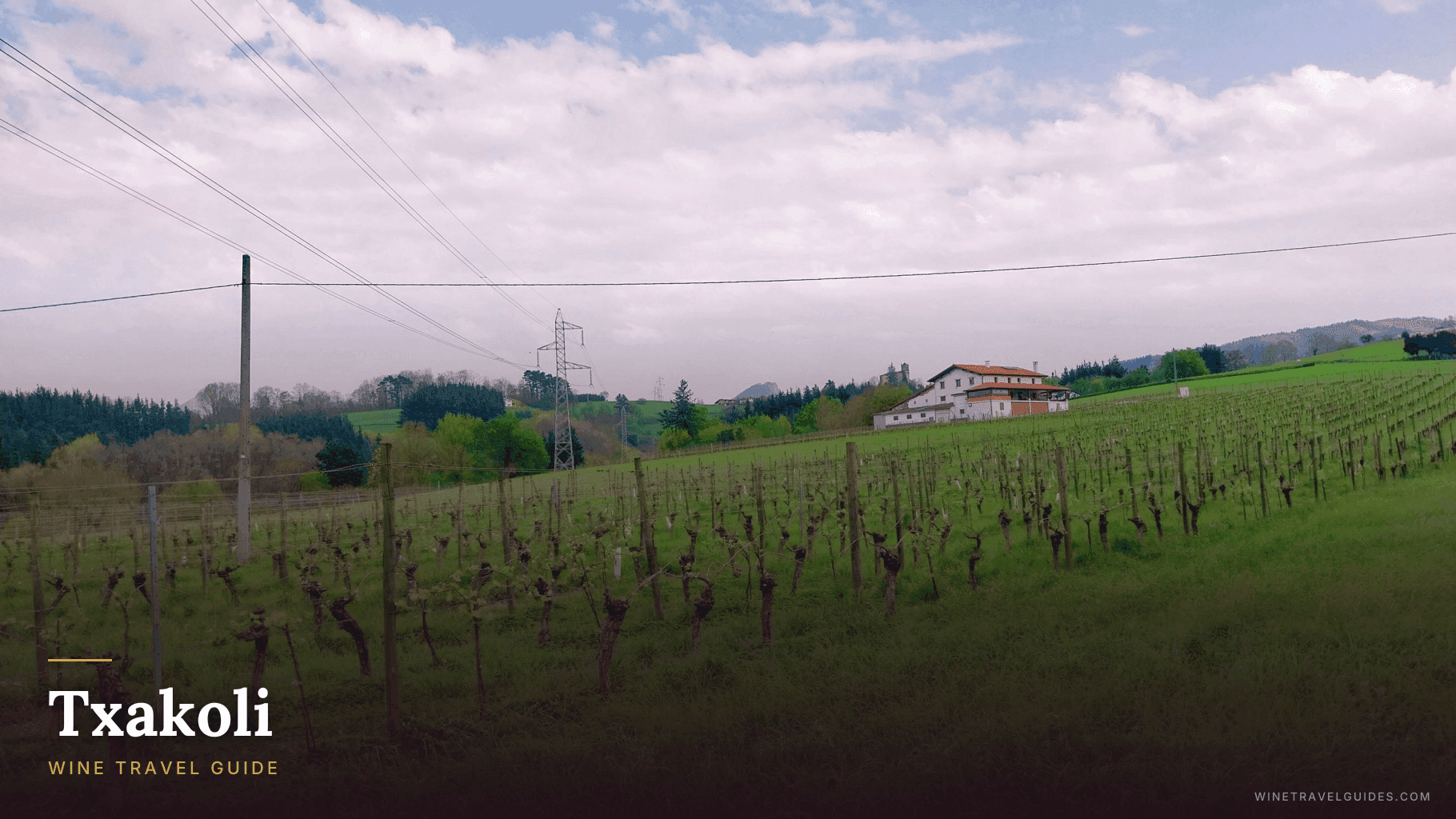Txakoli Wine Travel Guide (Basque Country, Spain)