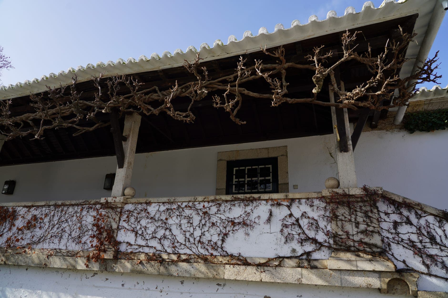 Viseu Wine Travel Guide (Dão, Portugal)