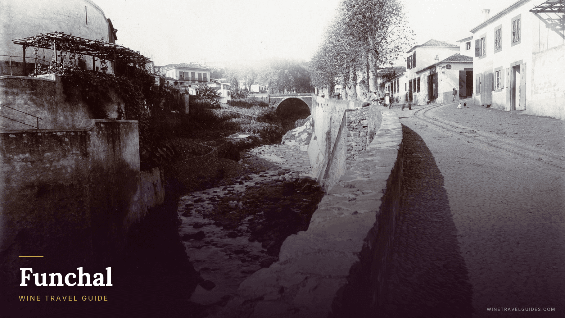 Funchal Wine Travel Guide (Madeira, Portugal)