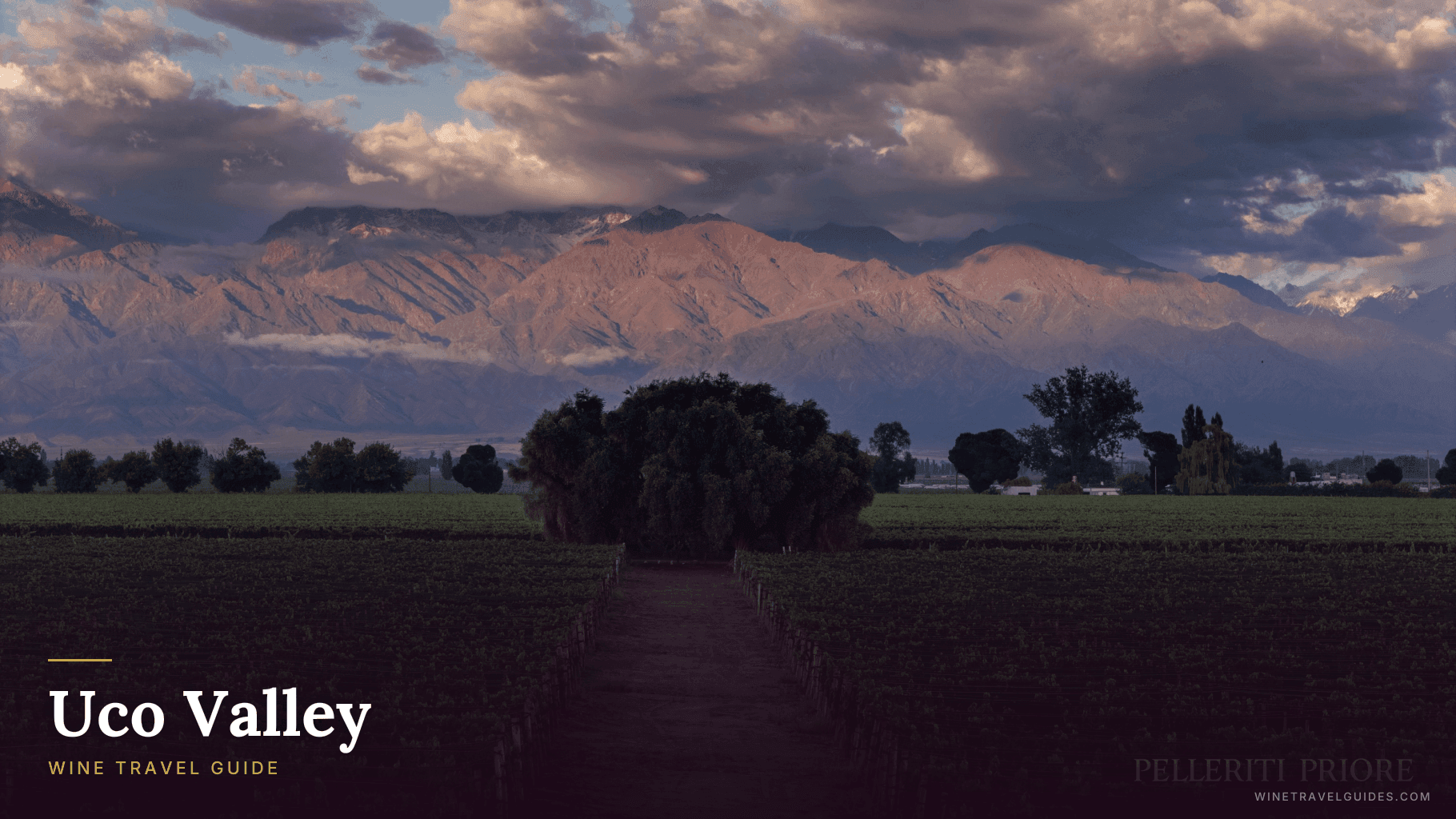 Uco Valley Wine Travel Guide (Mendoza, Argentina)